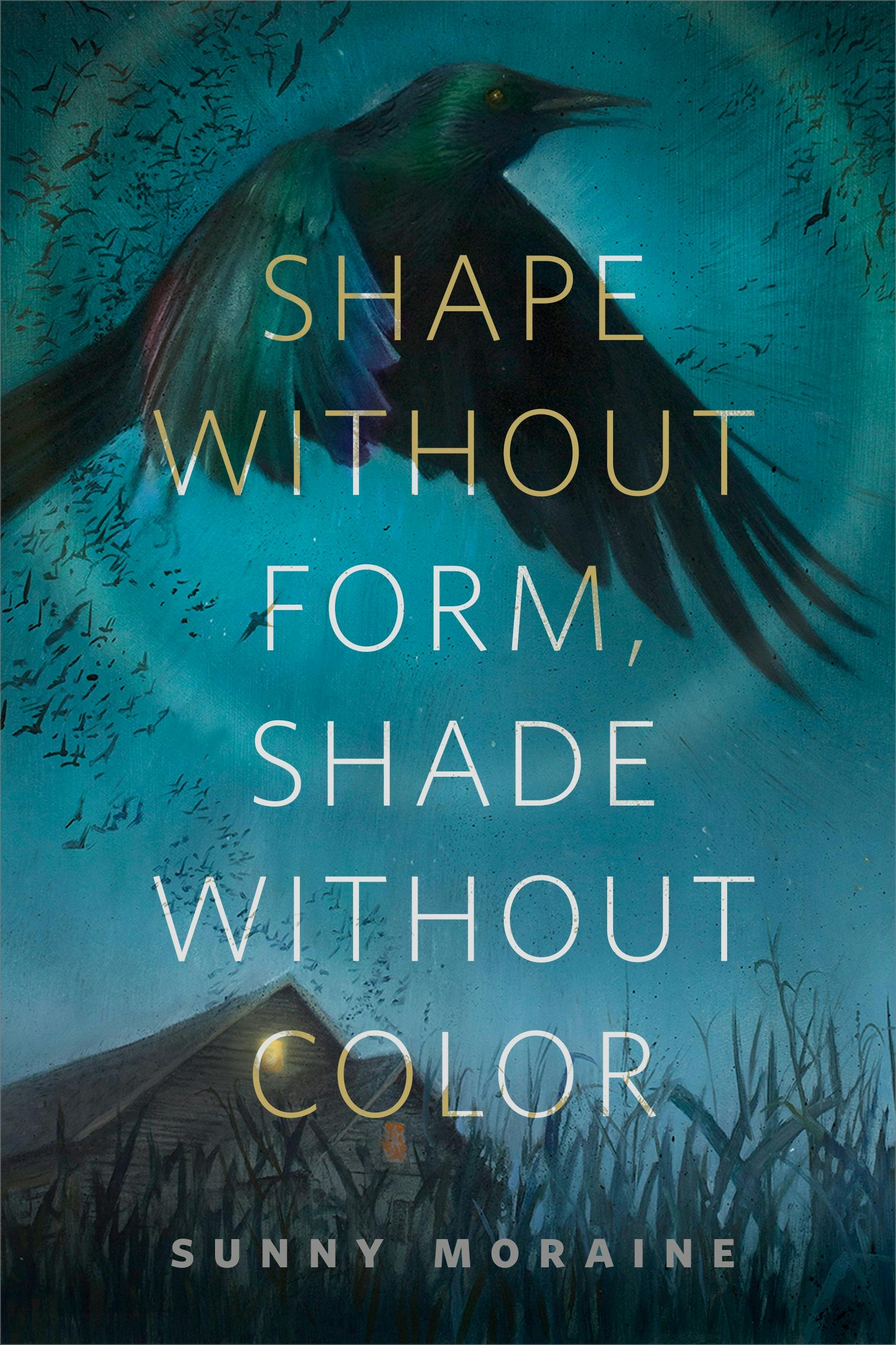 Cover for the book titled as: Shape Without Form, Shade Without Color