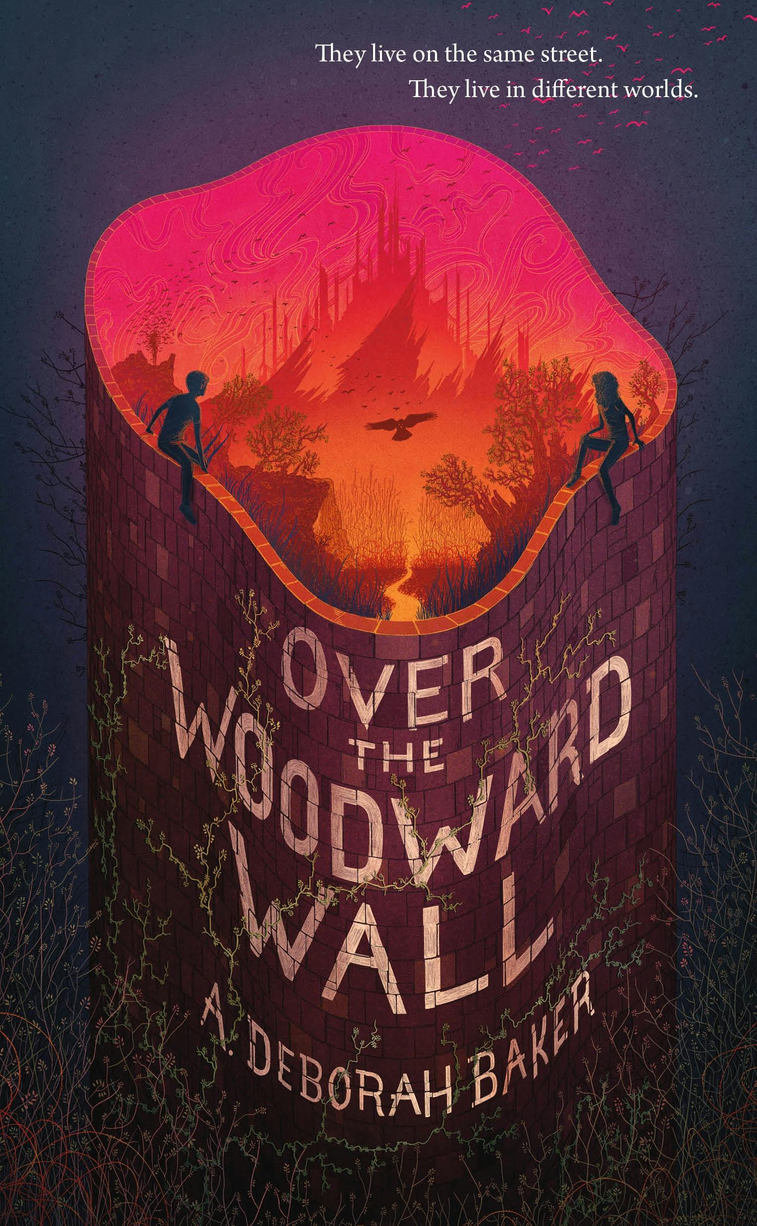 Cover for the book titled as: Over the Woodward Wall