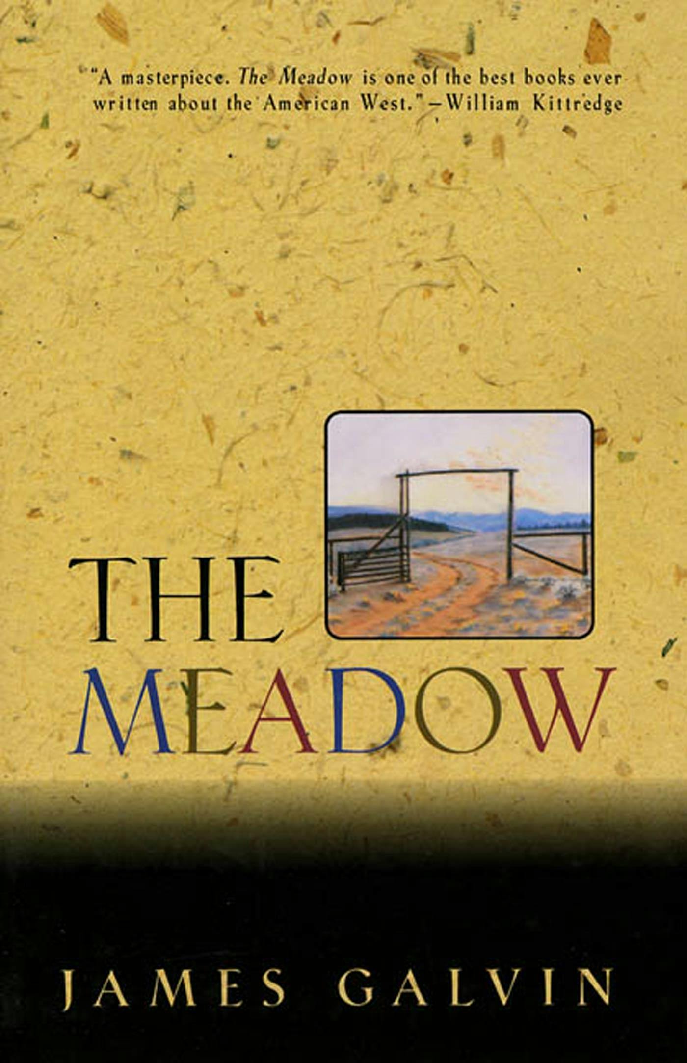 the meadow james galvin sparknotes