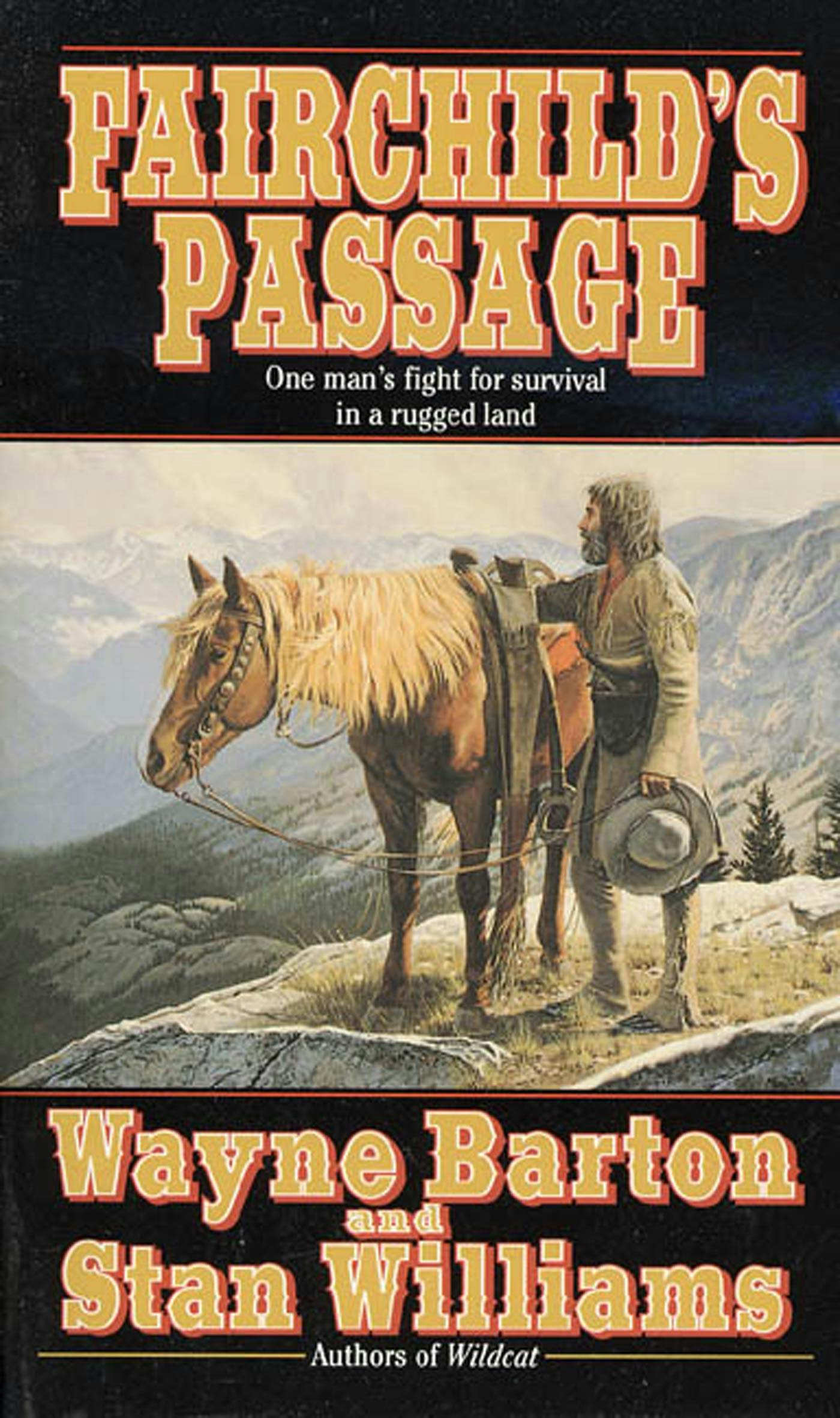Cover for the book titled as: Fairchild's Passage