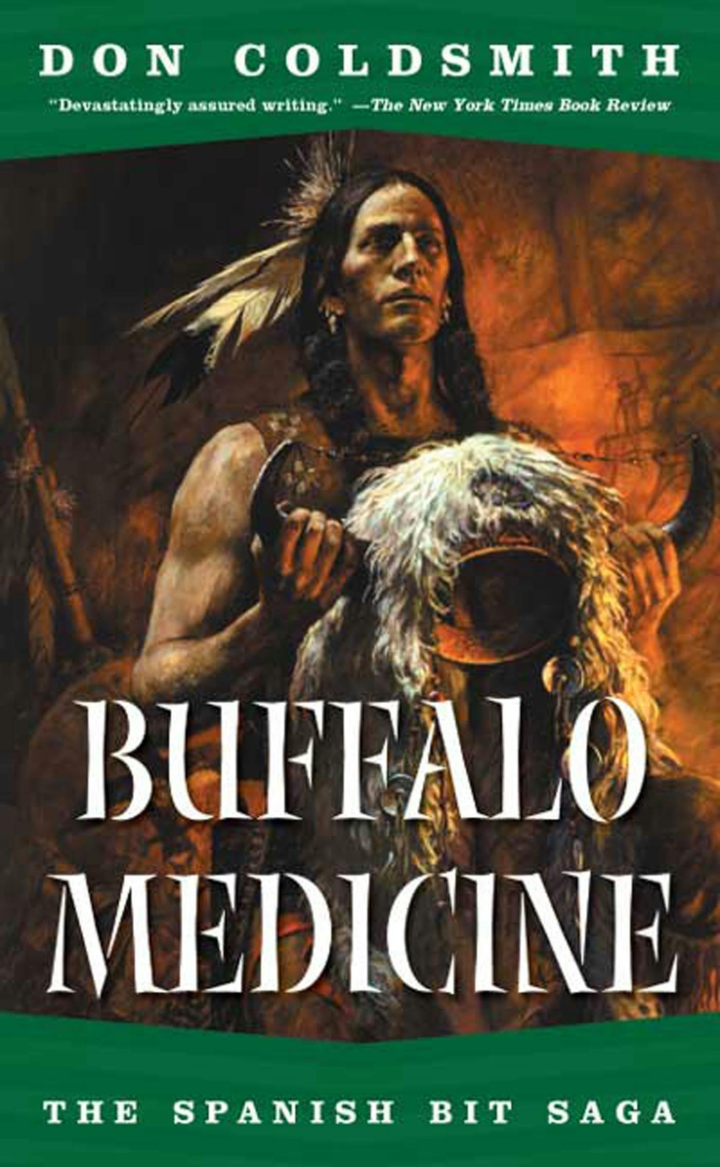 Cover for the book titled as: Buffalo Medicine