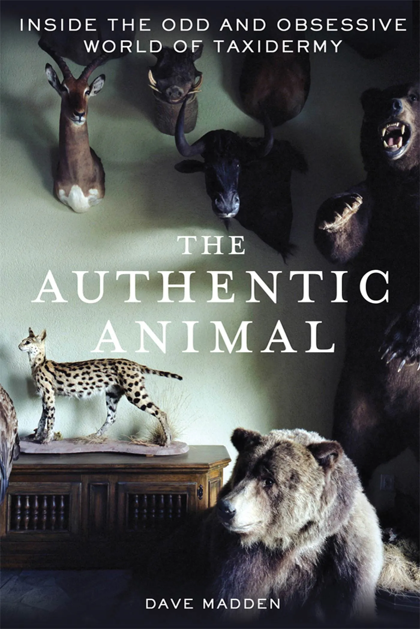 Authenticity Animal The Authentic Animal