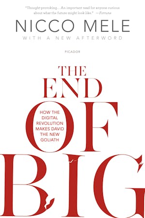 The End Of Big