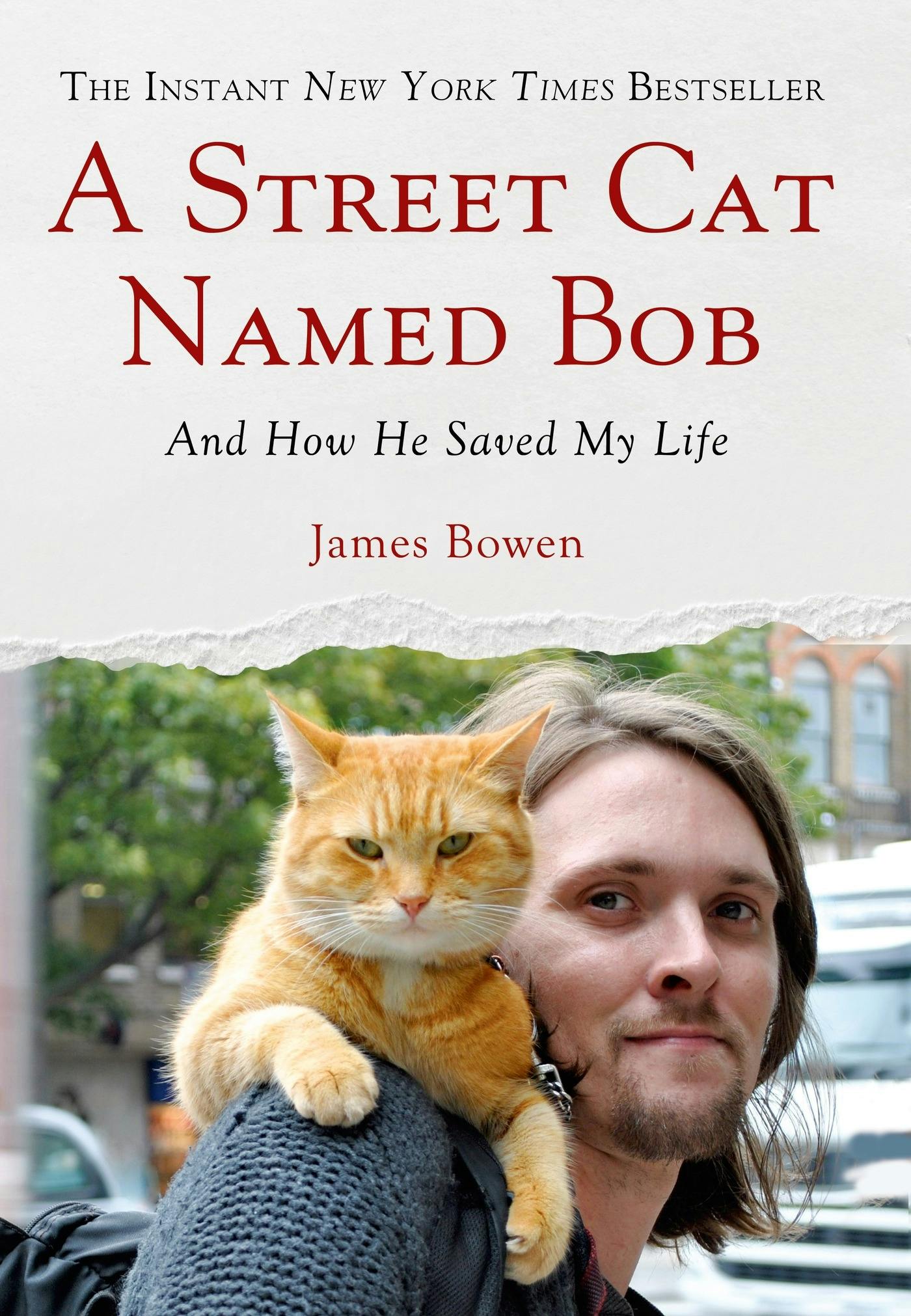 a-street-cat-named-bob