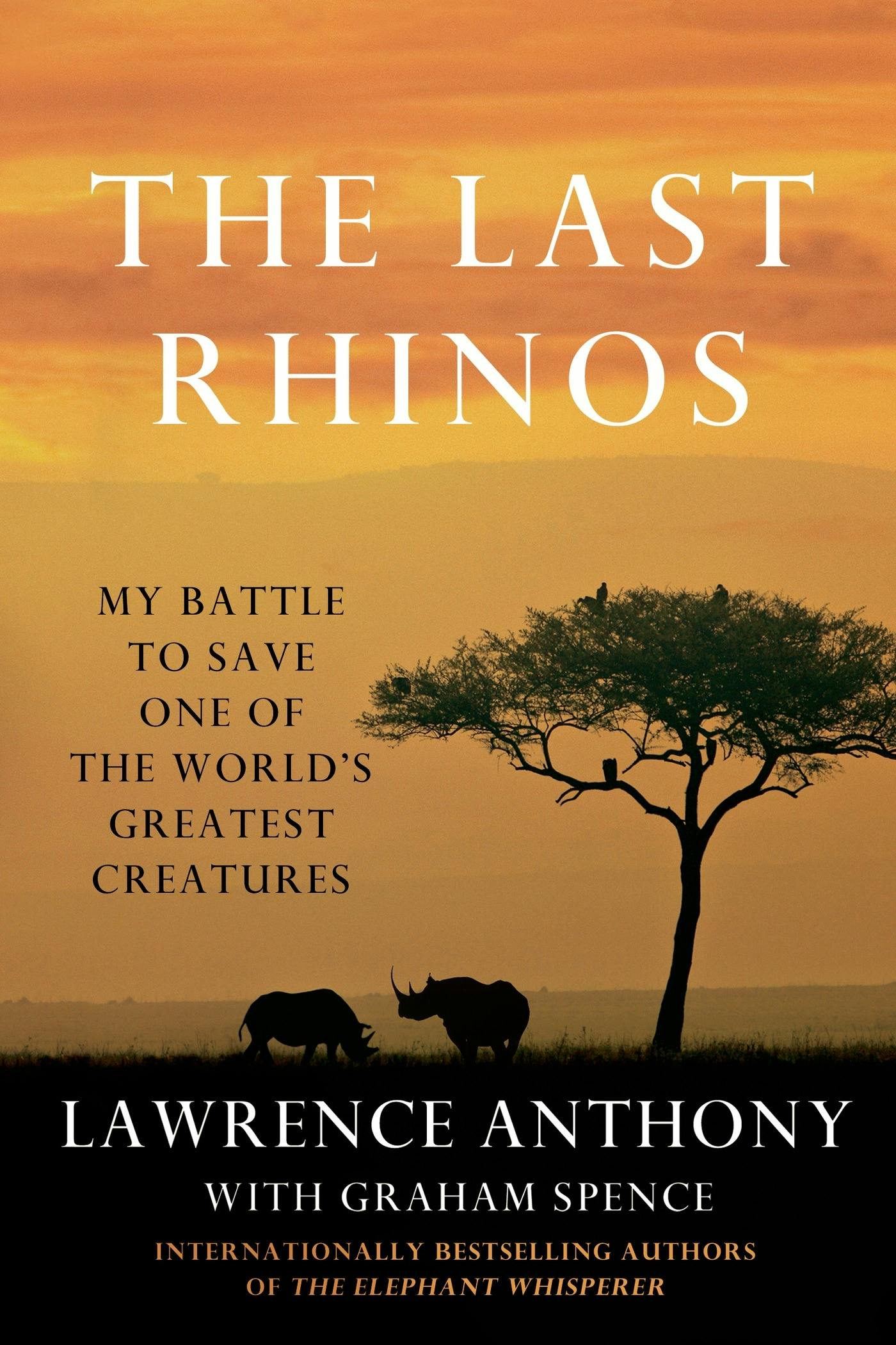 rhinoceros books