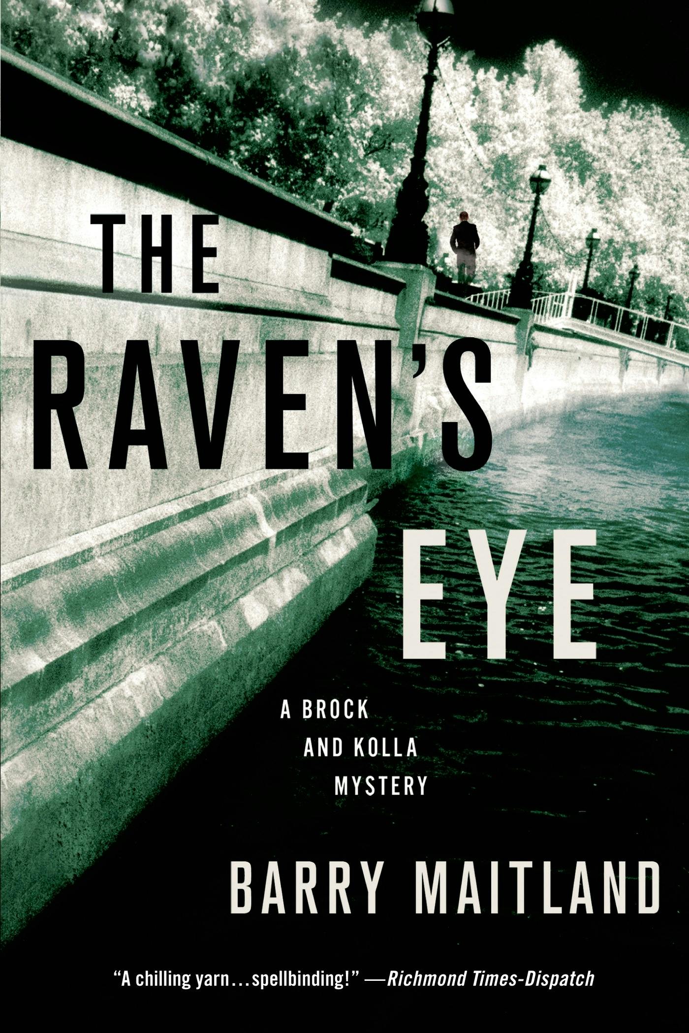 Image of The Raven's Eye