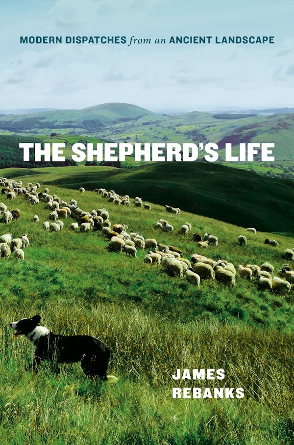 The Shepherd’s Life by James Rebanks