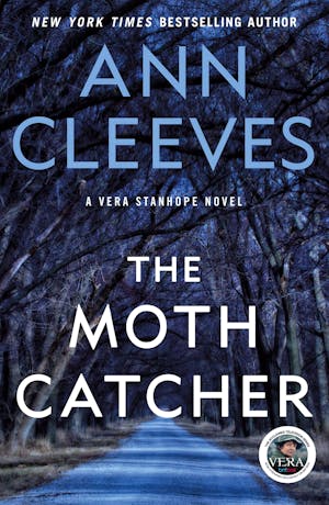 The Moth Catcher