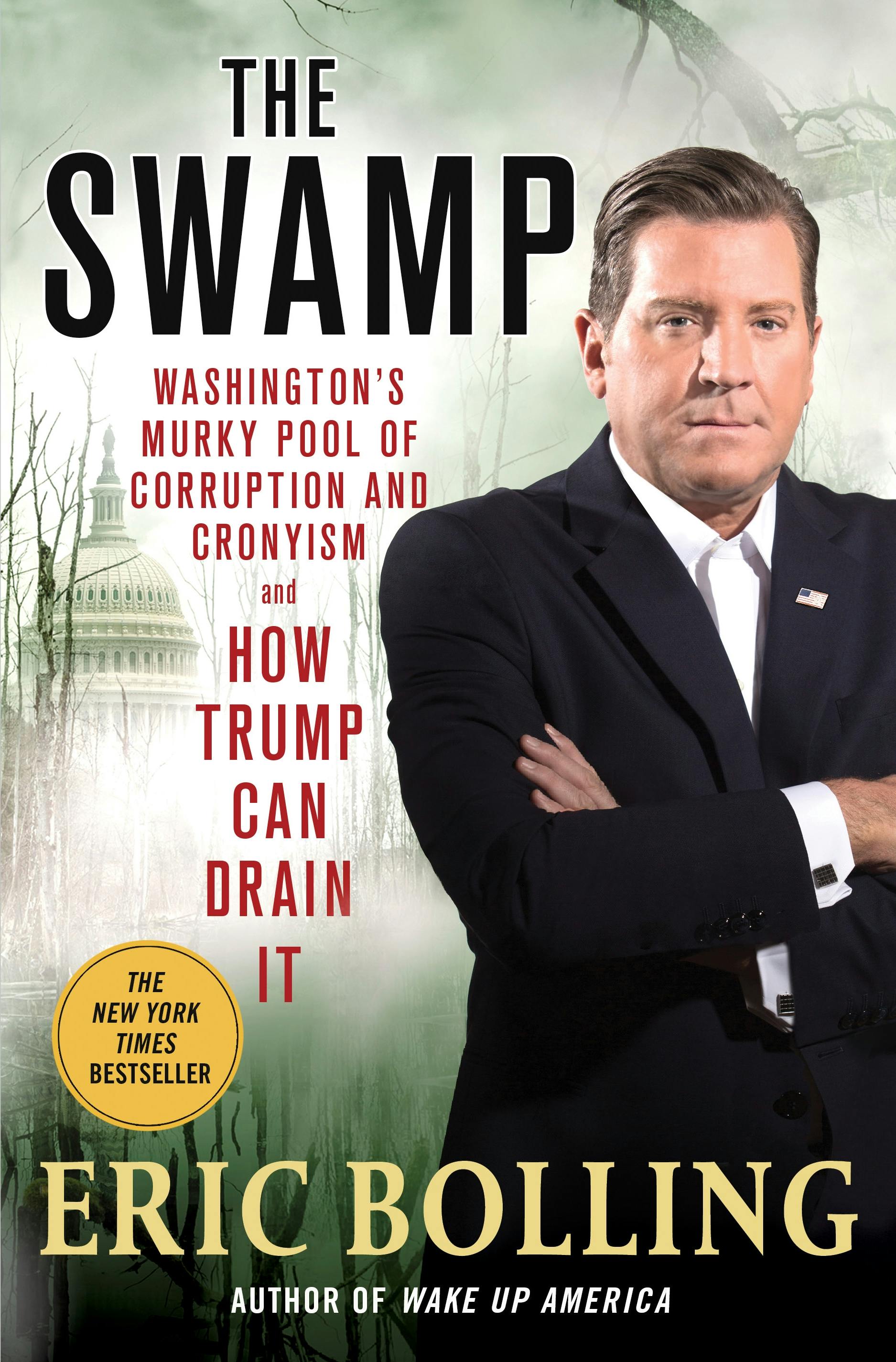 book review swamp story