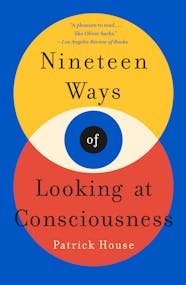 Nineteen Ways Of Looking At Consciousness