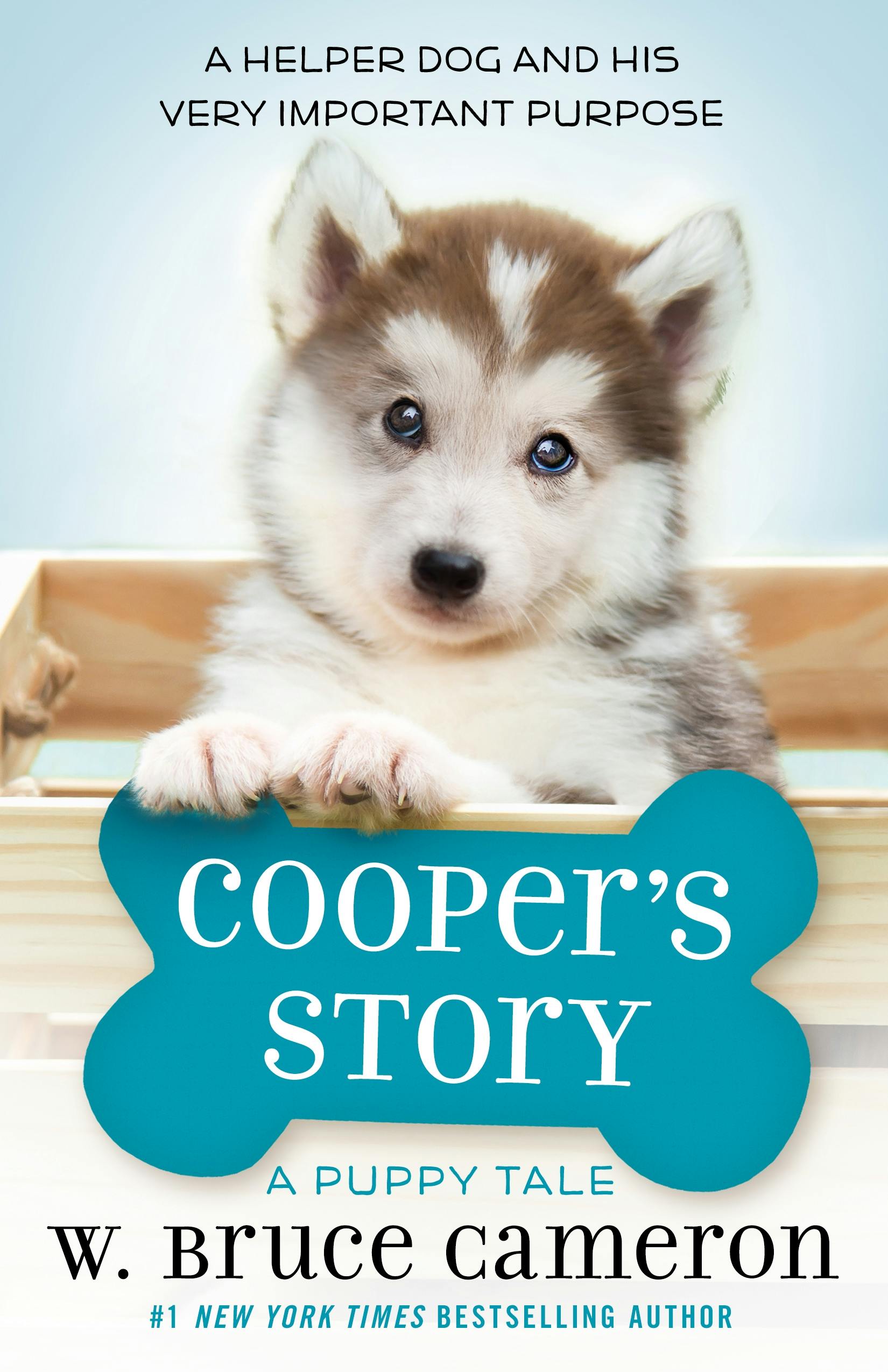 Image of Cooper's Story