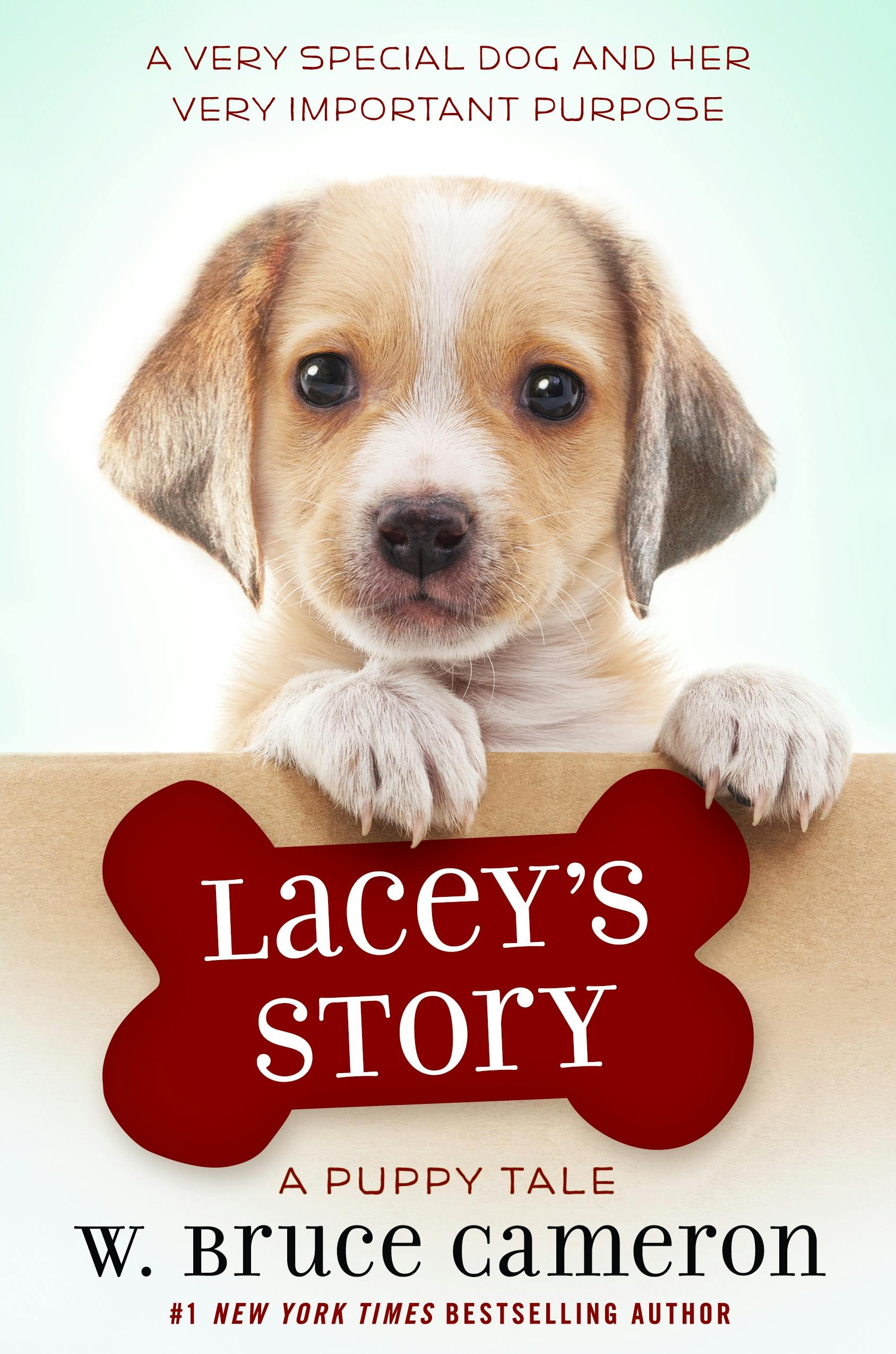 Cover for the book titled as: Lacey's Story