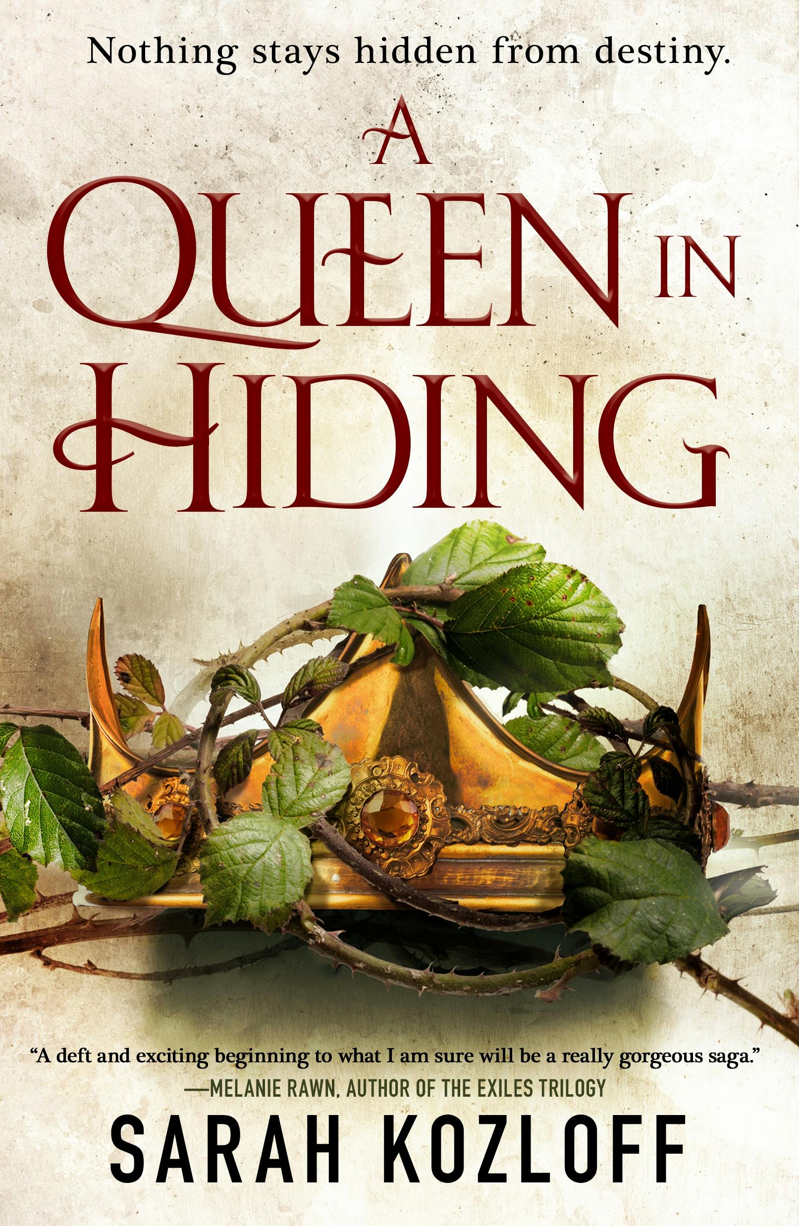 Cover for the book titled as: A Queen in Hiding