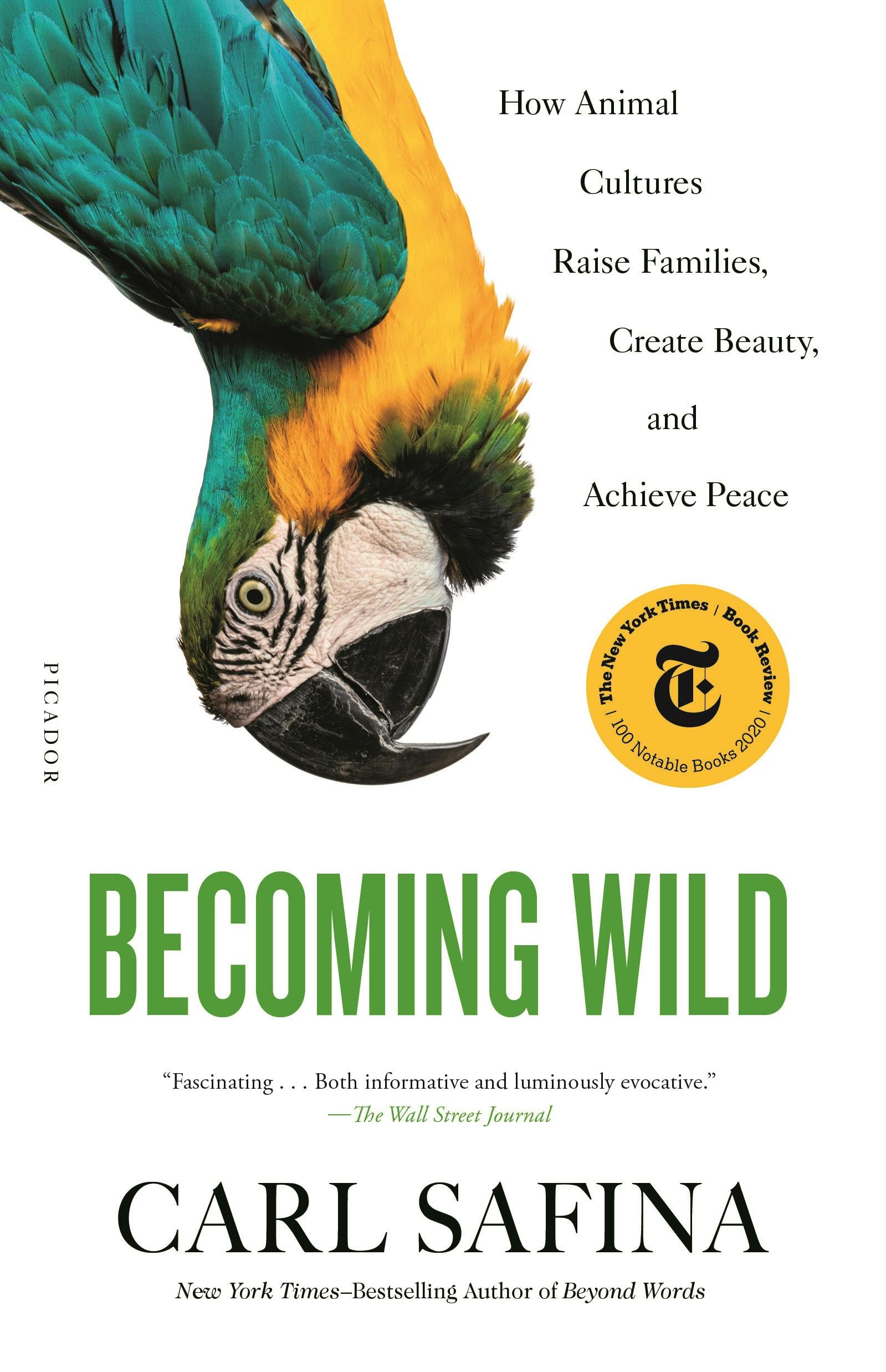 Birds of Prey Books - Brain Power Family