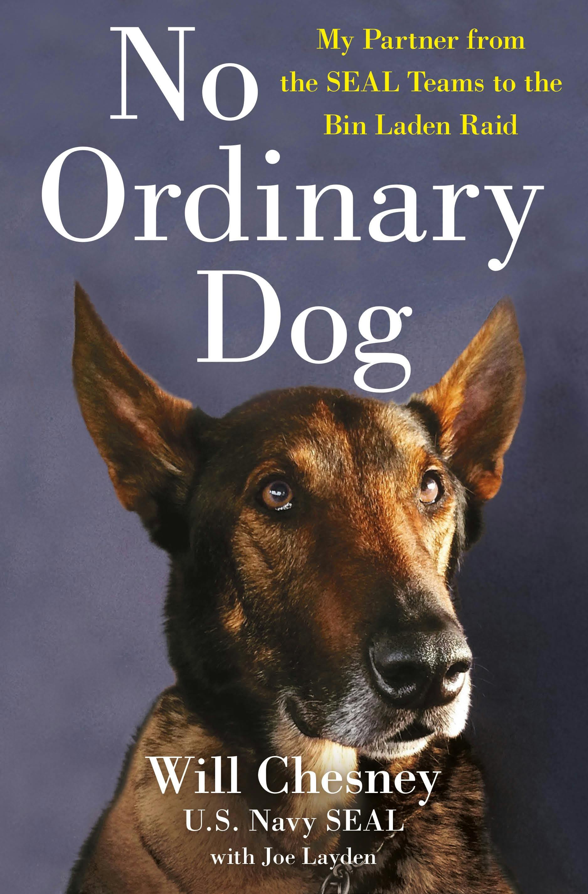 Bonus Chapter: Dog of the Military?