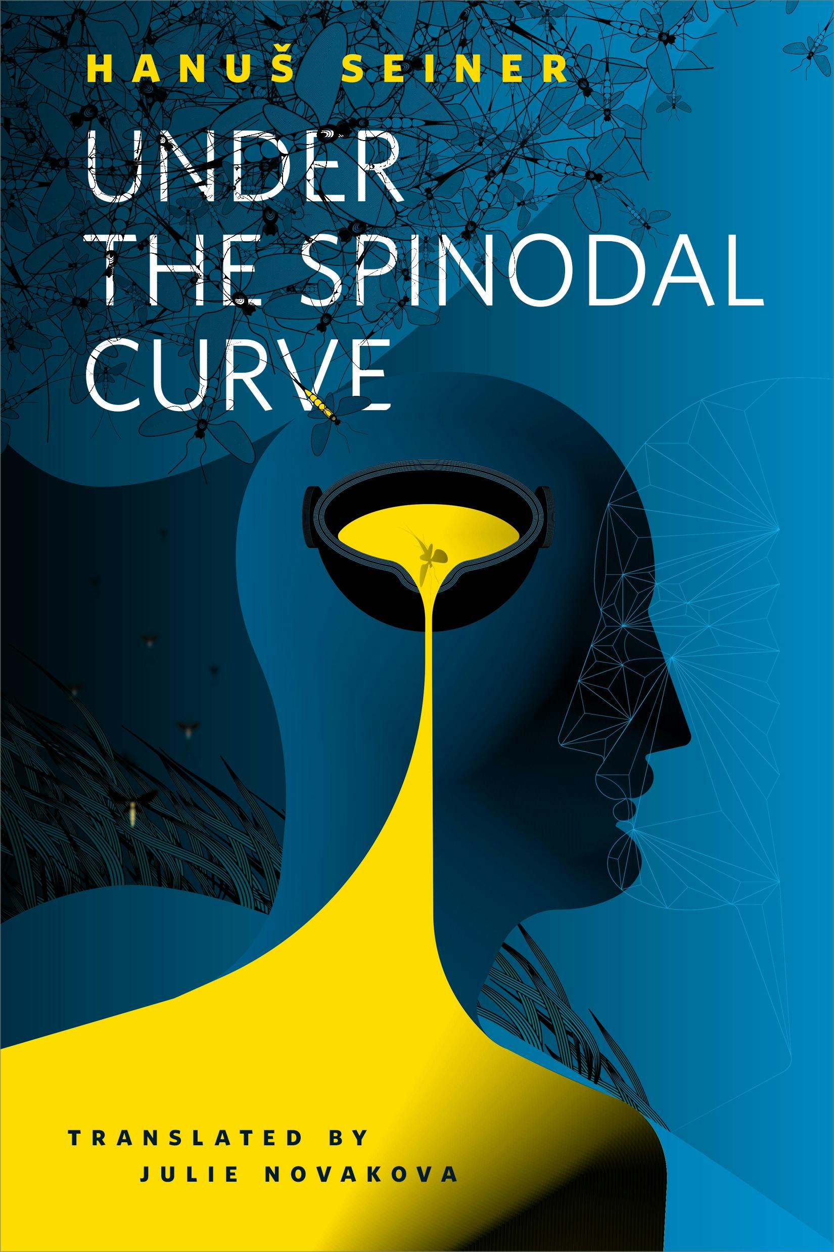 Cover for the book titled as: Under the Spinodal Curve