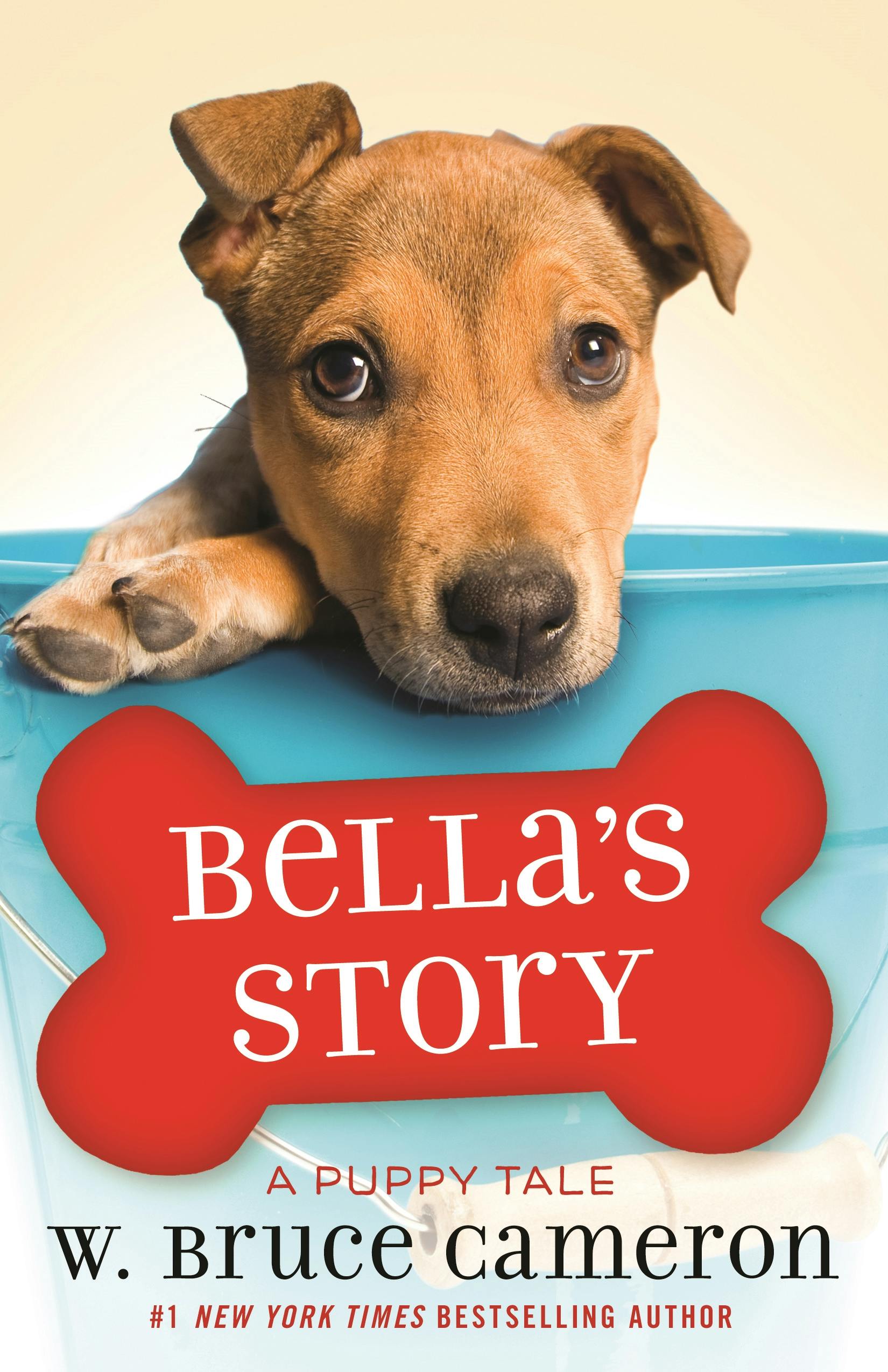 Image of Bella's Story
