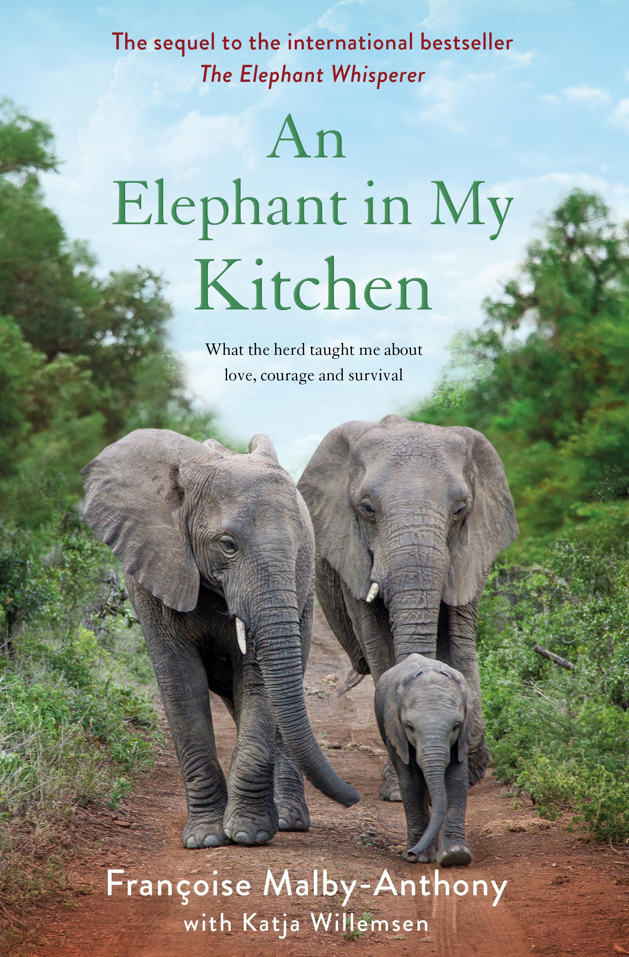 An Elephant in My Kitchen