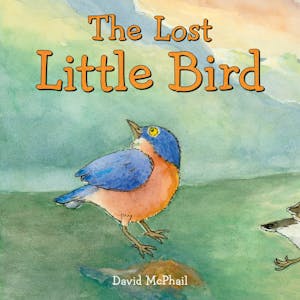 The Lost Little Bird