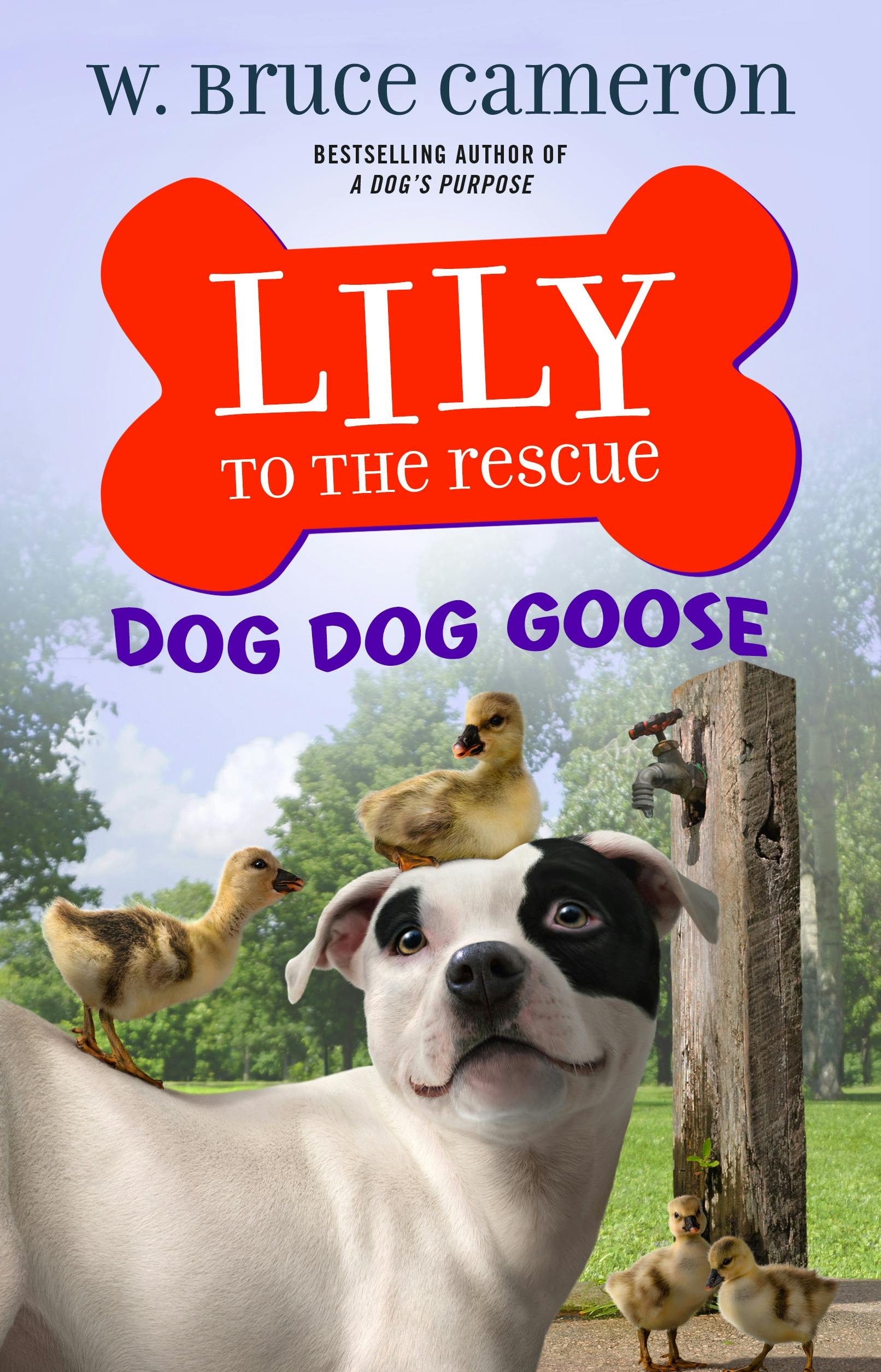 Cover for the book titled as: Lily to the Rescue: Dog Dog Goose