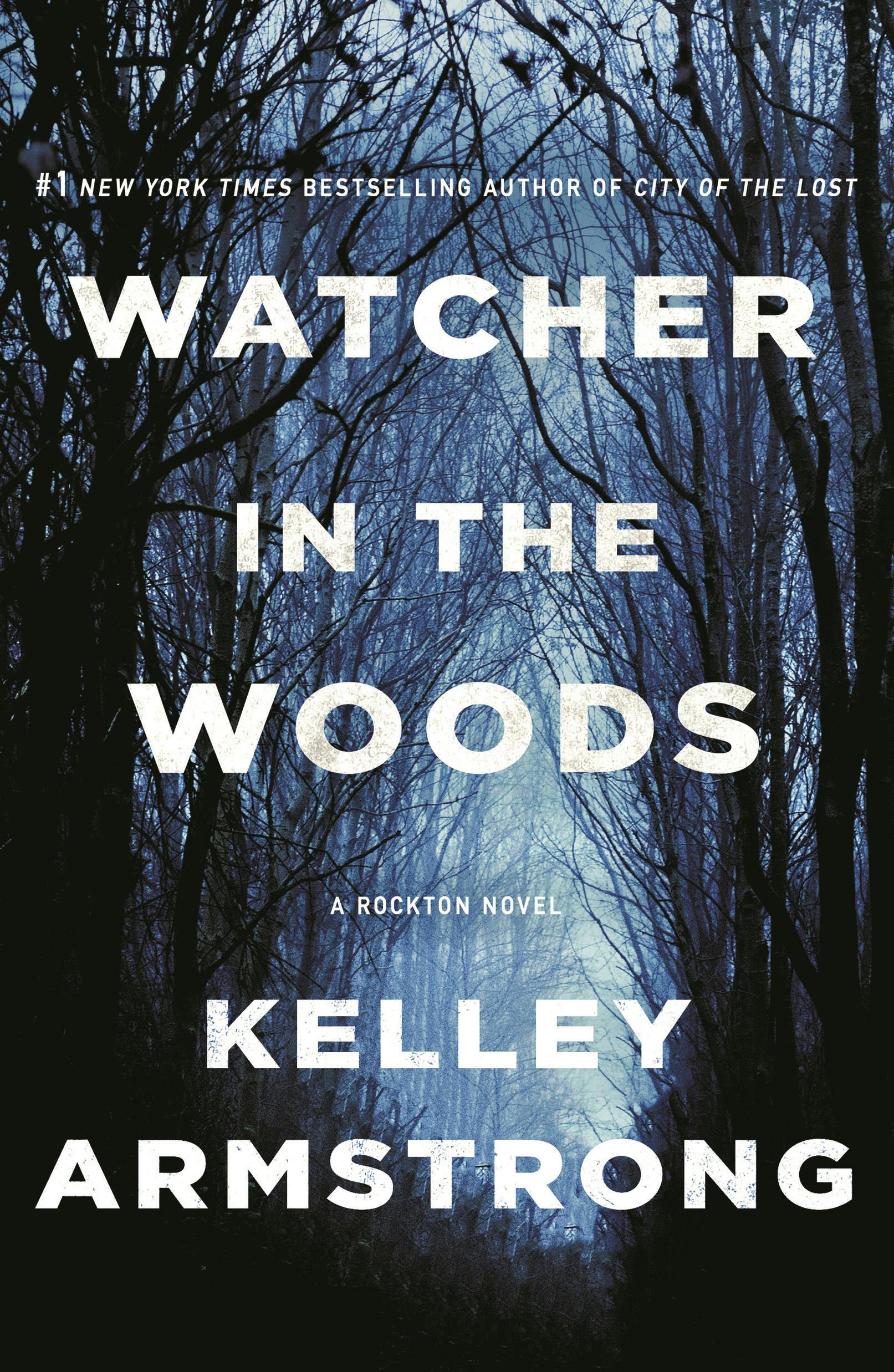 Prime Video: The Watcher in the Woods - Season 1