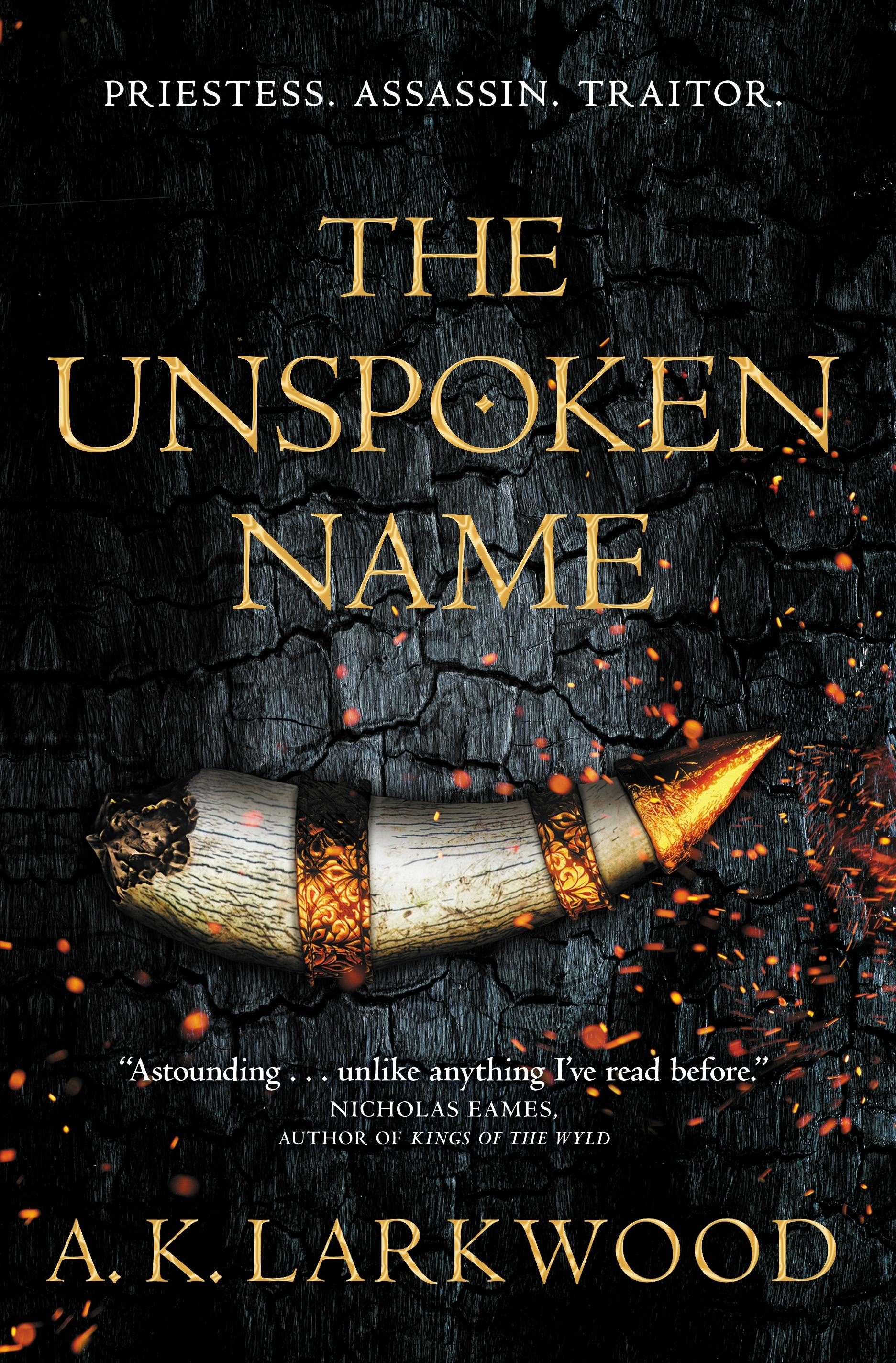 Cover for the book titled as: The Unspoken Name