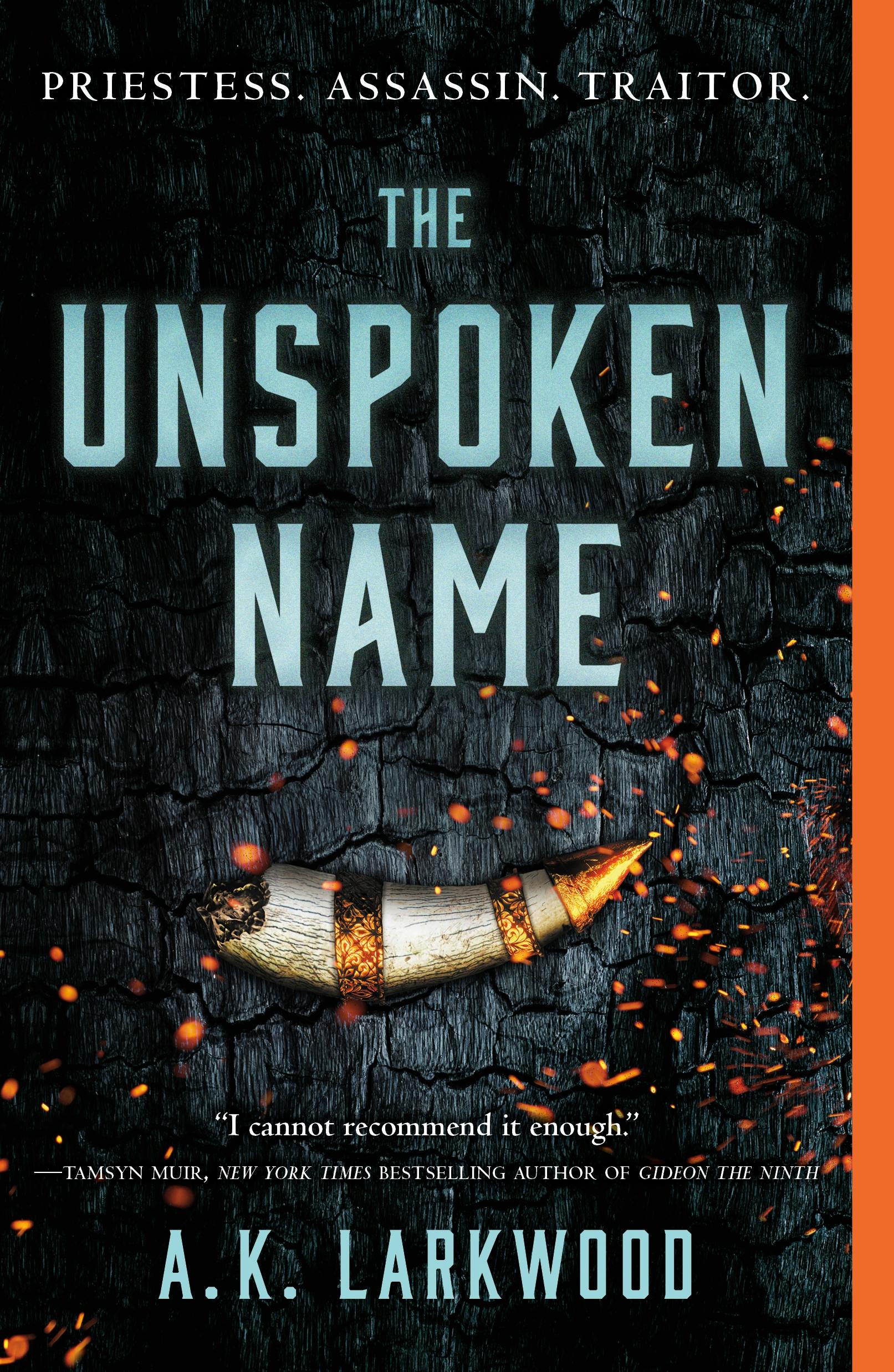 Image of The Unspoken Name
