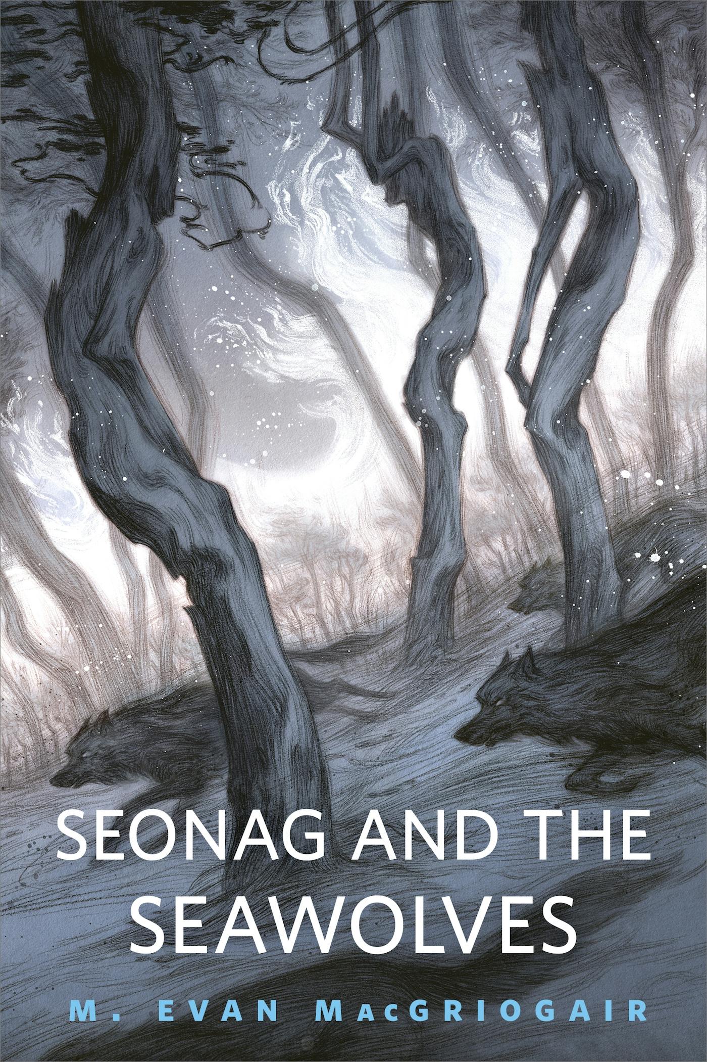 Cover for the book titled as: Seonag and the Seawolves