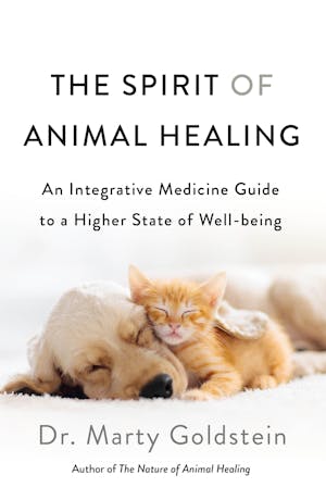 The Spirit of Animal Healing