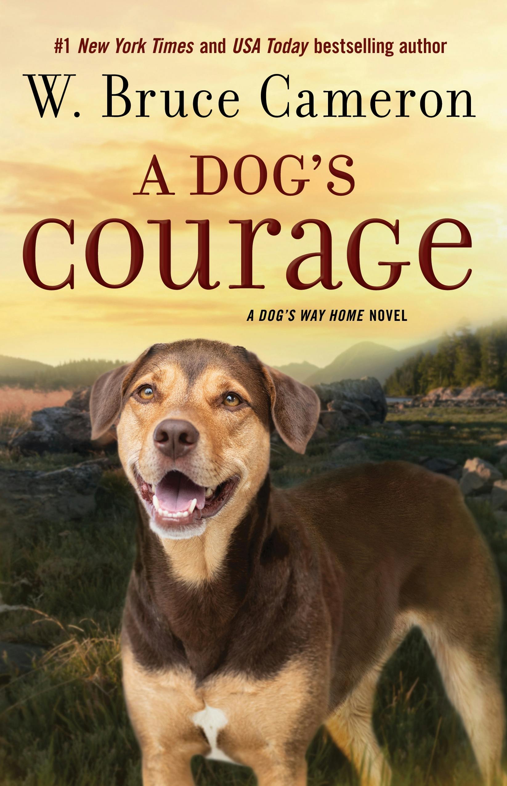 Image of A Dog's Courage