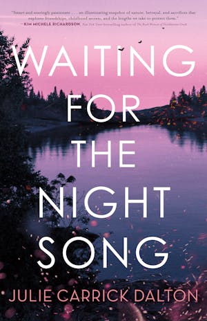 Waiting For The Night Song