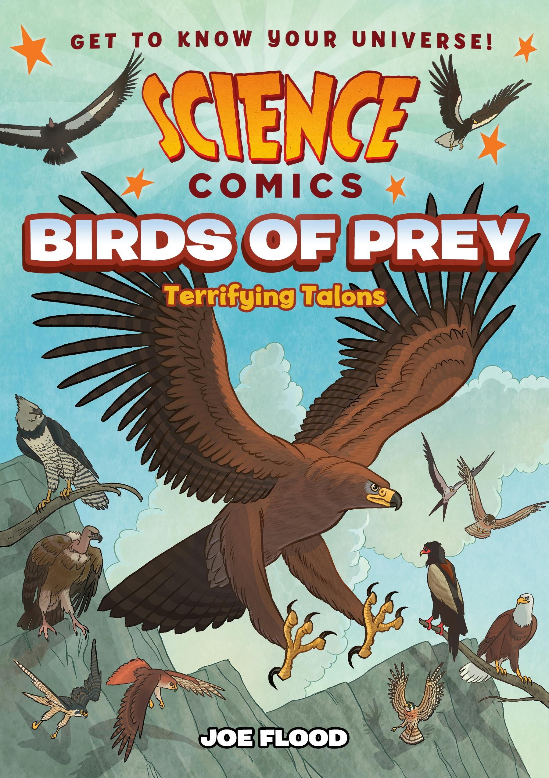 Birds of Prey Books - Brain Power Family