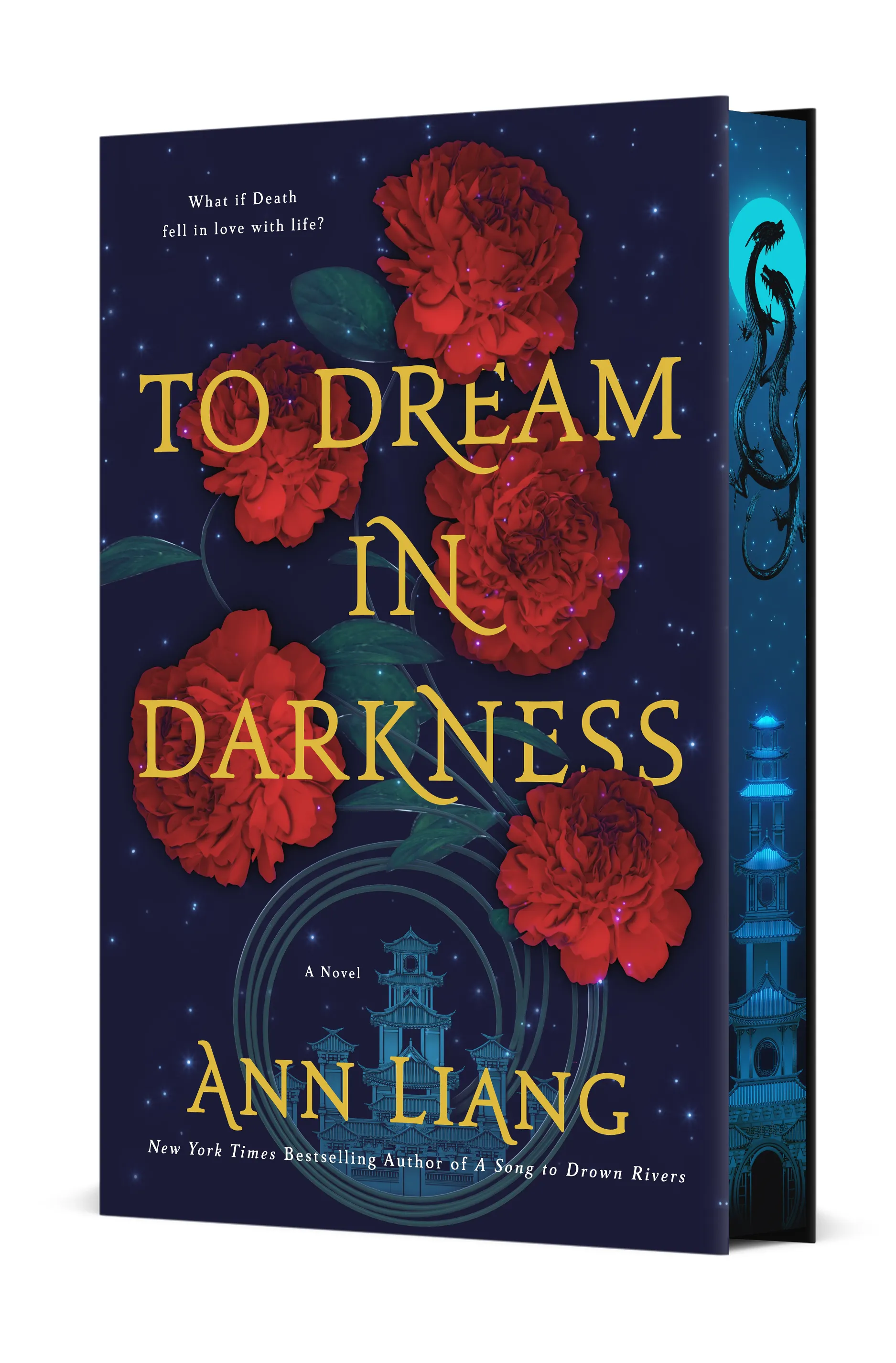 To Dream in Darkness book cover