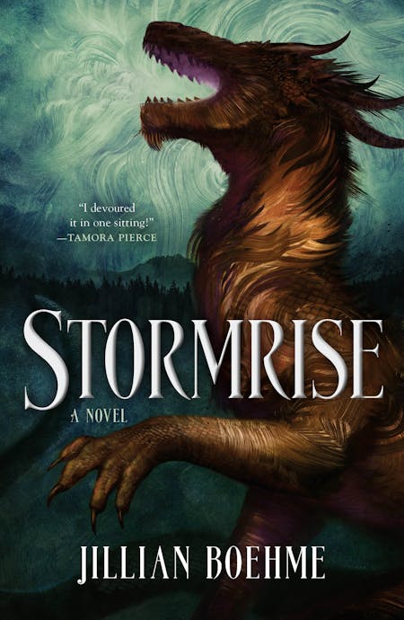 STORMRISE