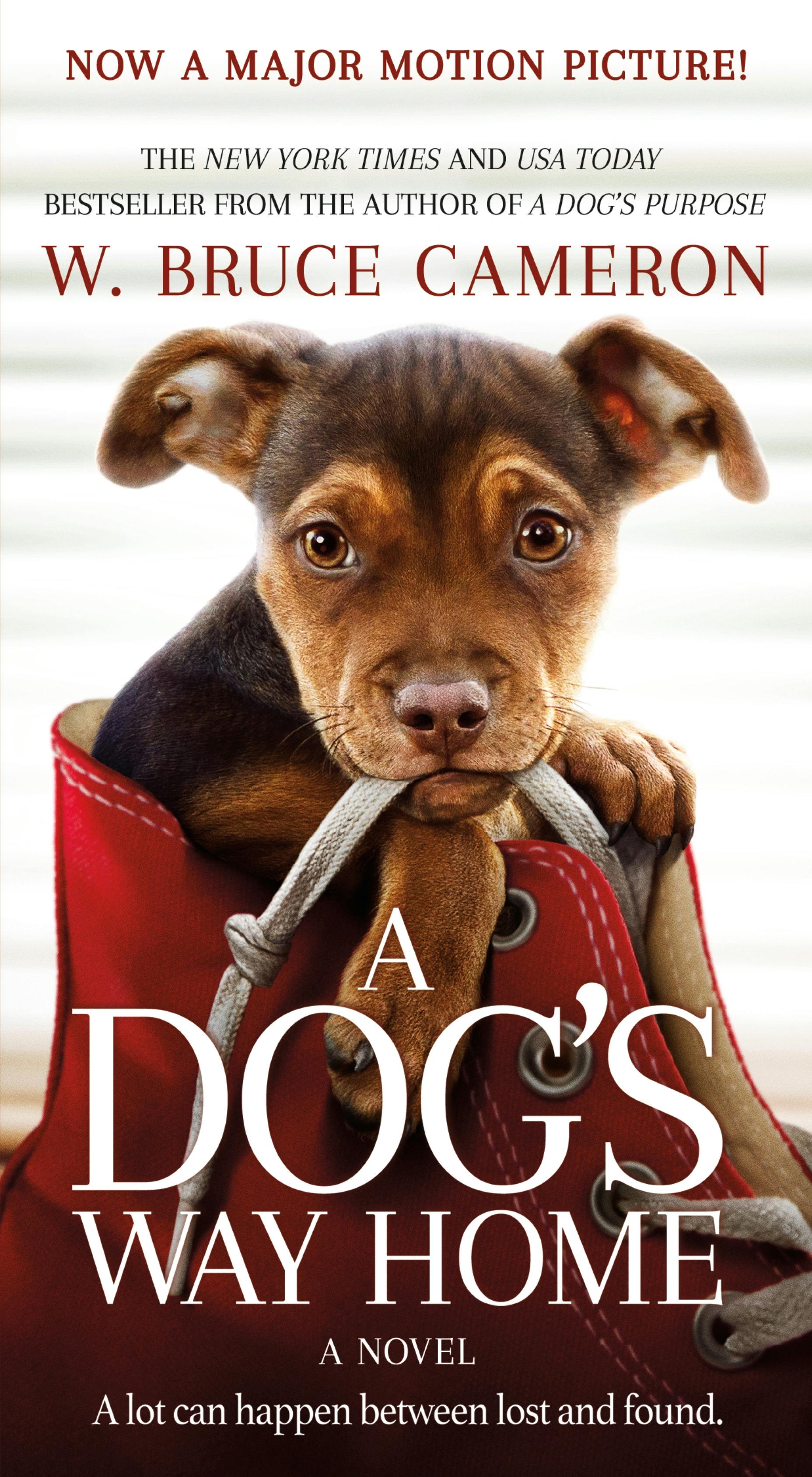 Image of A Dog's Way Home Movie Tie-In