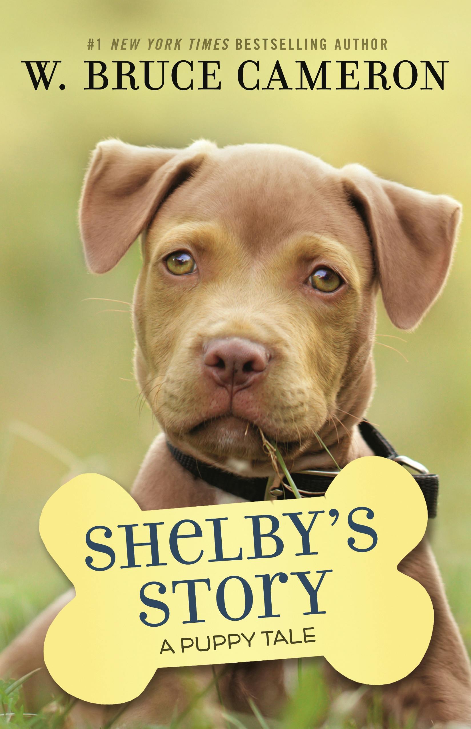 Cover for the book titled as: Shelby's Story