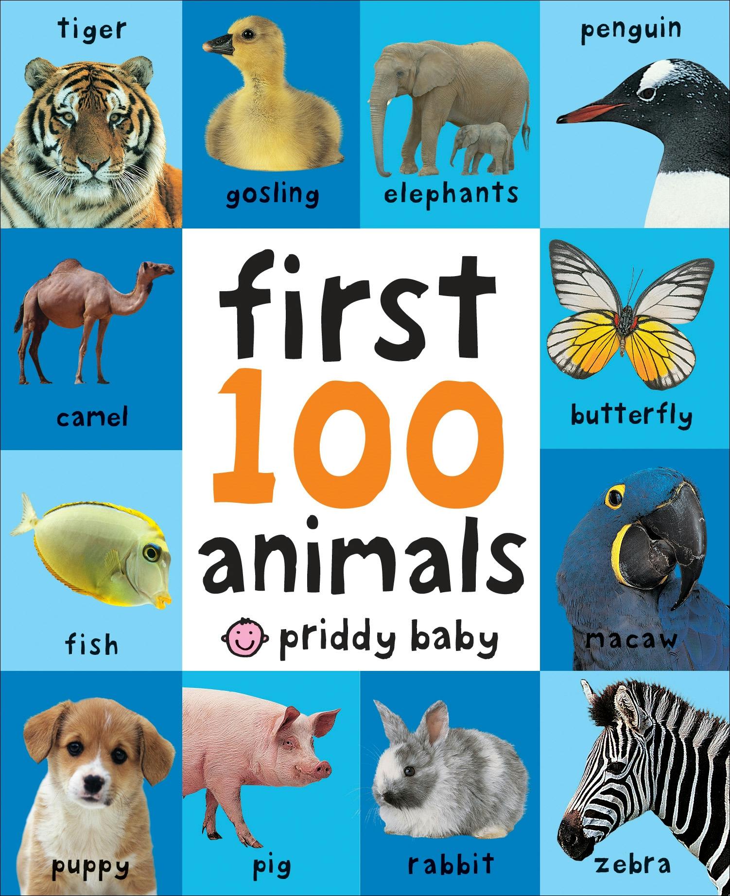 First 100 animals. First 100 animals book. Animals. Board book. Baby animals Priddy.