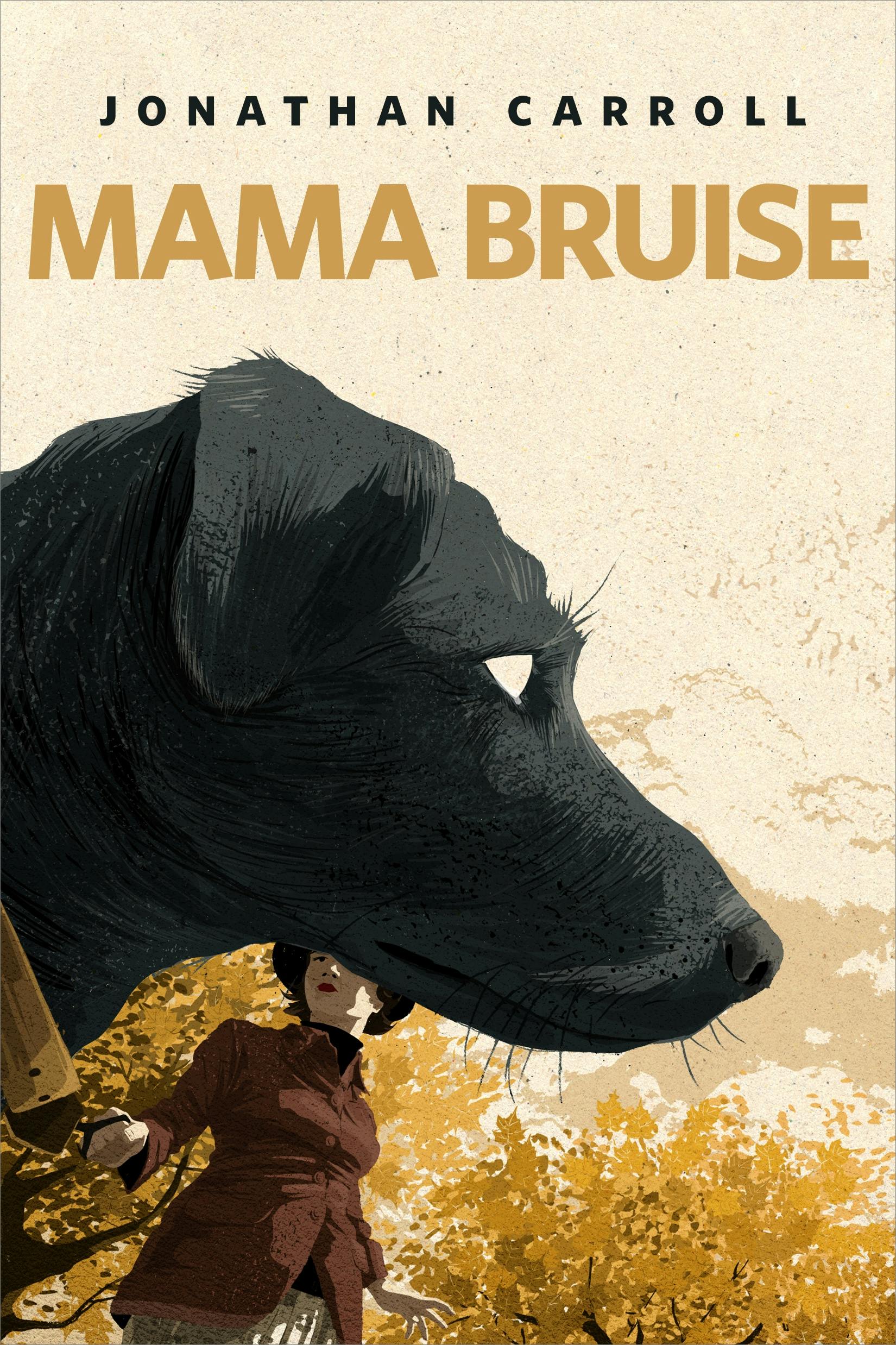 Cover for the book titled as: Mama Bruise