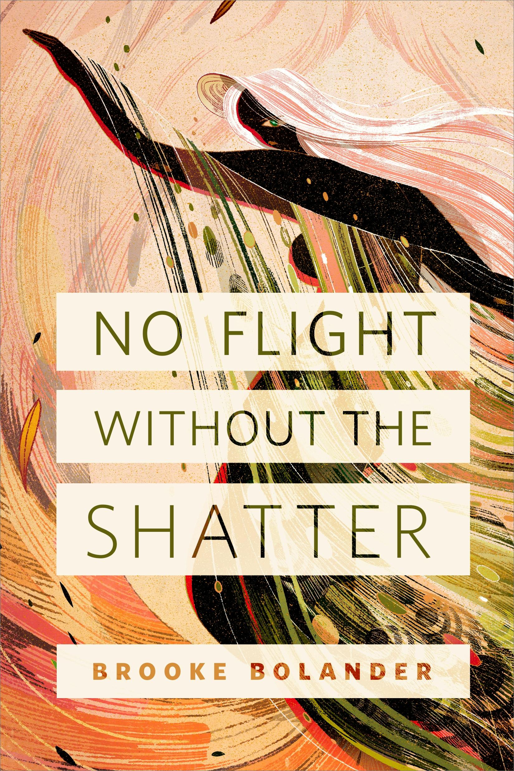 Cover for the book titled as: No Flight Without the Shatter