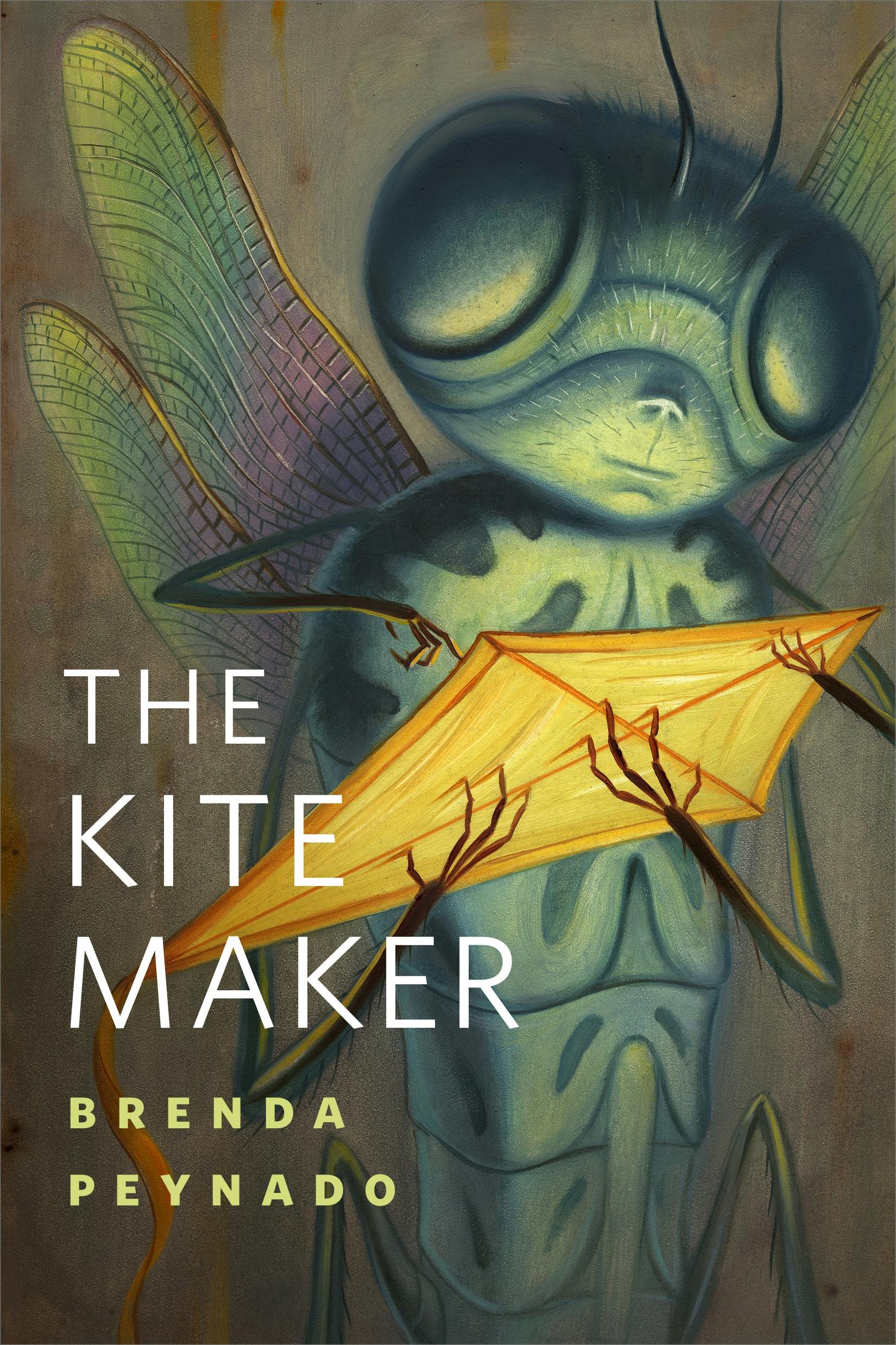 Cover for the book titled as: The Kite Maker