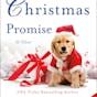 A Heartfelt Christmas Promise
