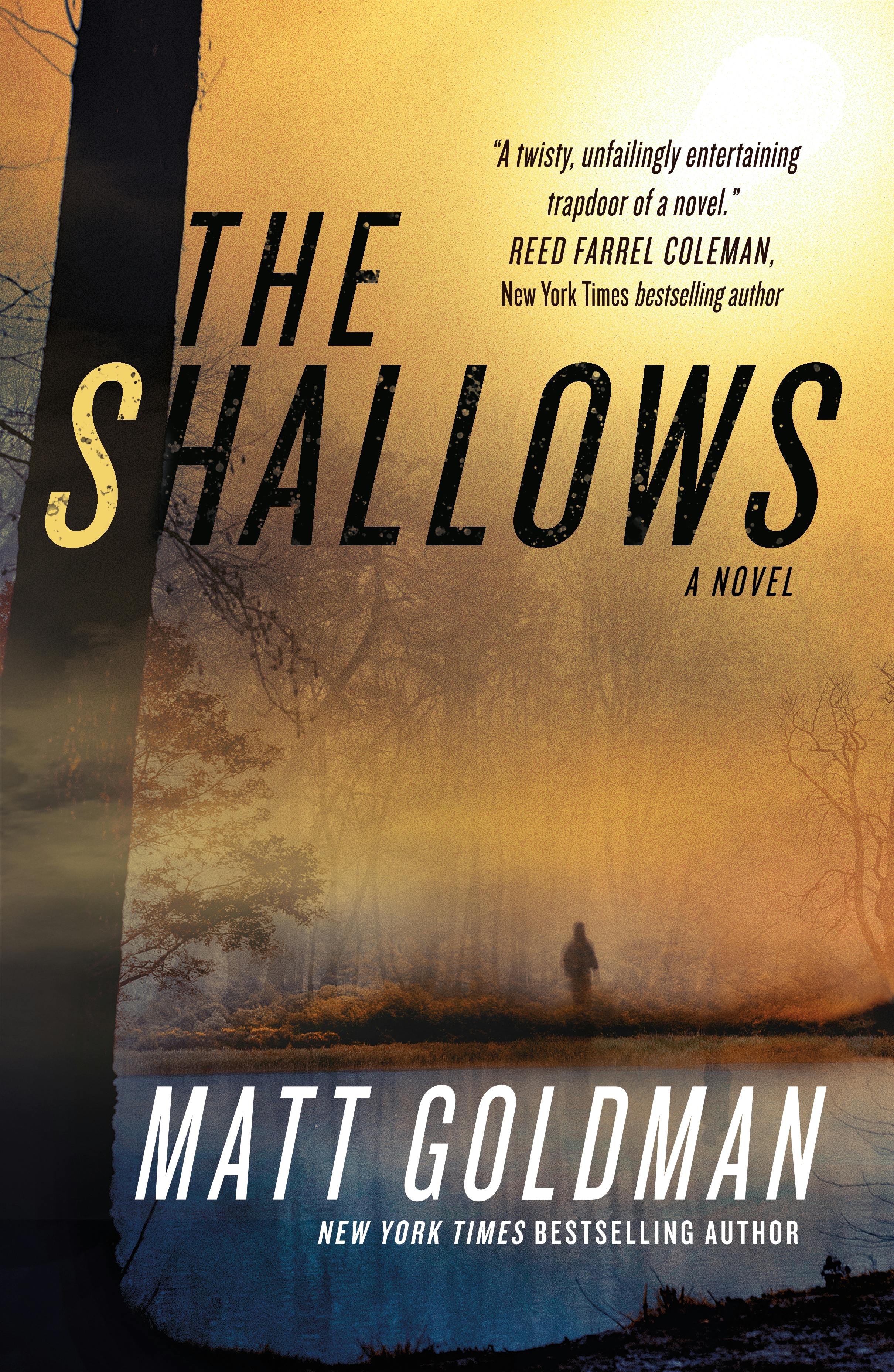 Cover for the book titled as: The Shallows