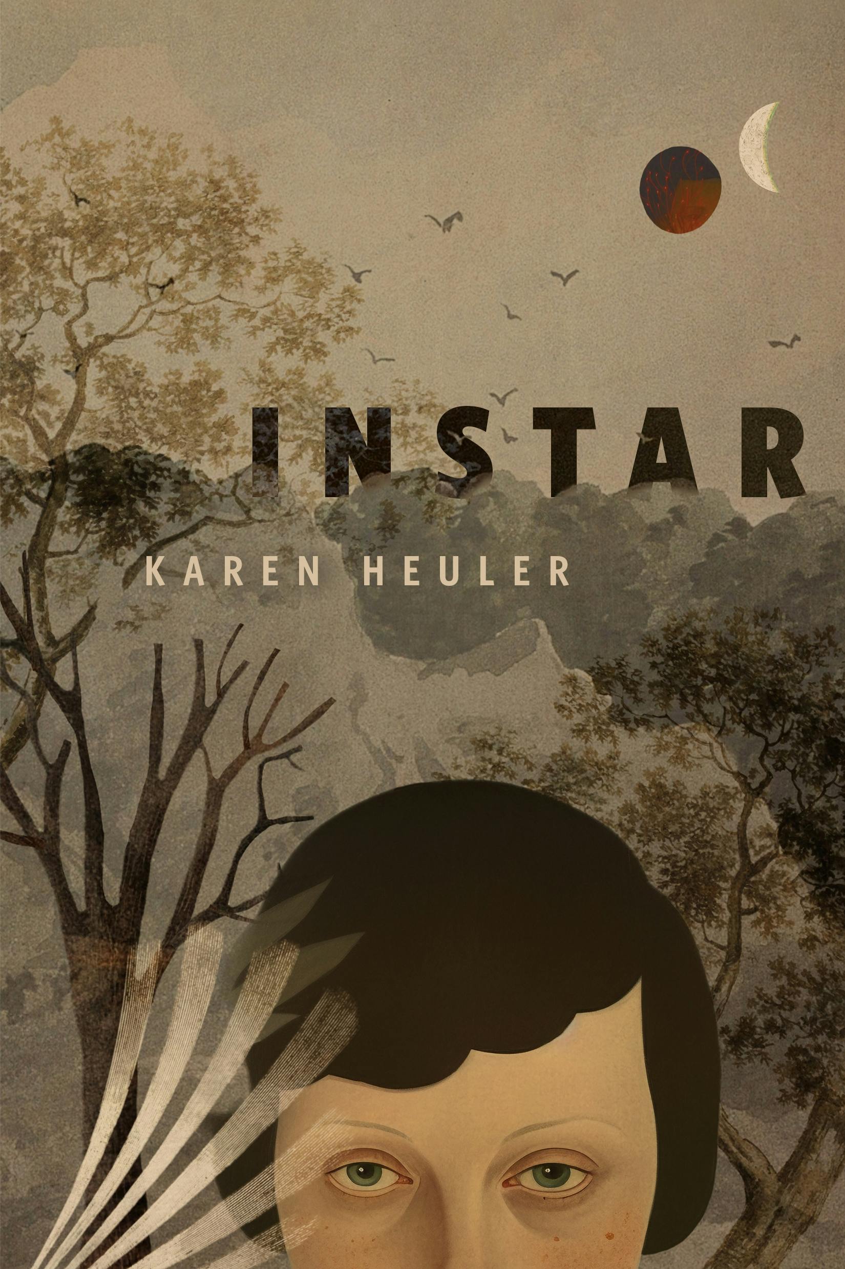 Cover for the book titled as: Instar