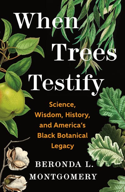 When Trees Testify by Beronda L. Montgomery