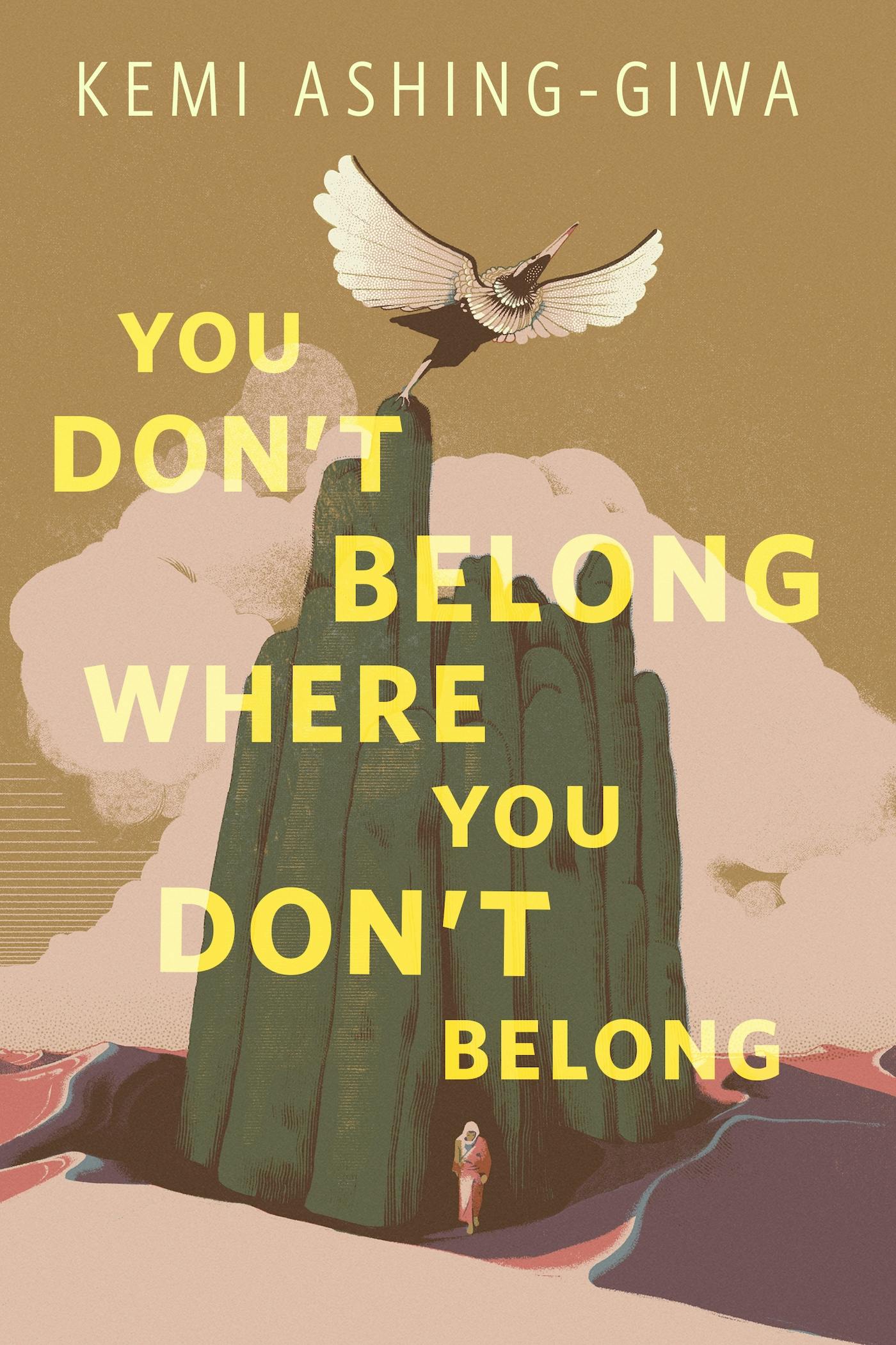 Cover for the book titled as: You Don't Belong Where You Don't Belong