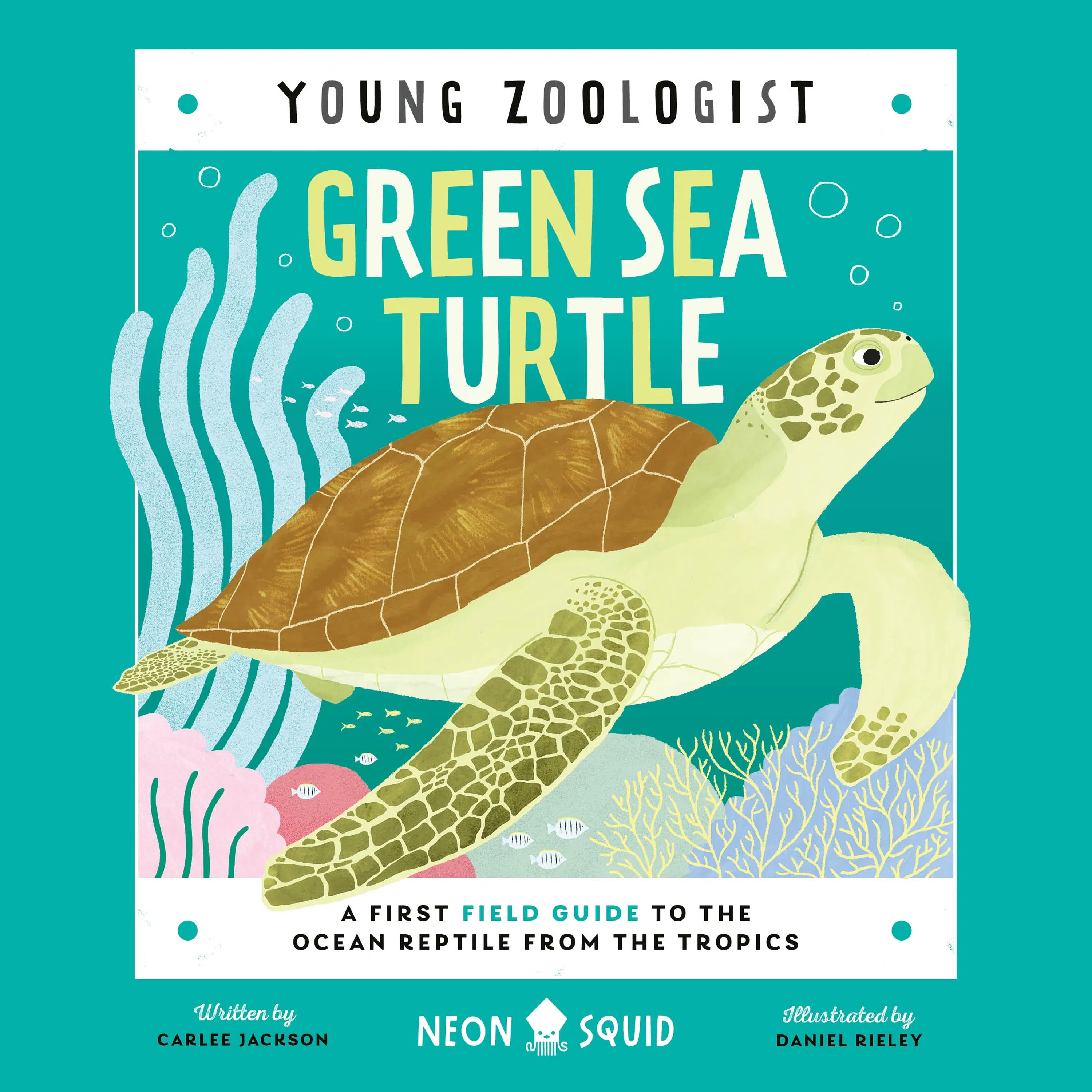 Green Sea Turtle (Young Zoologist)