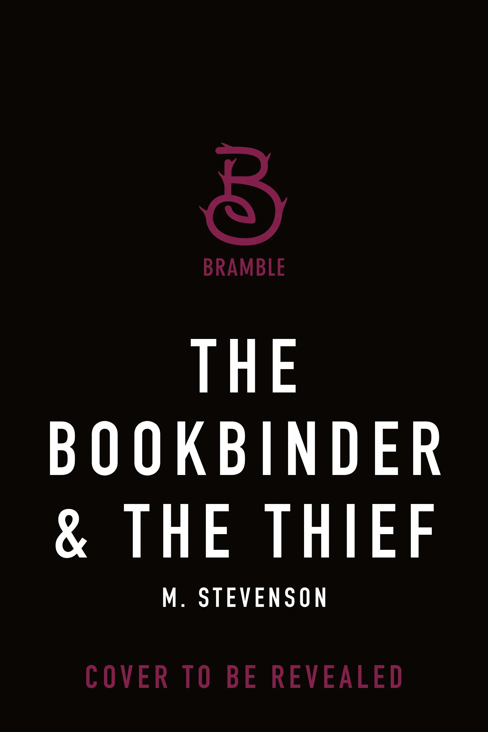 Cover for the book titled as: The Bookbinder & The Thief