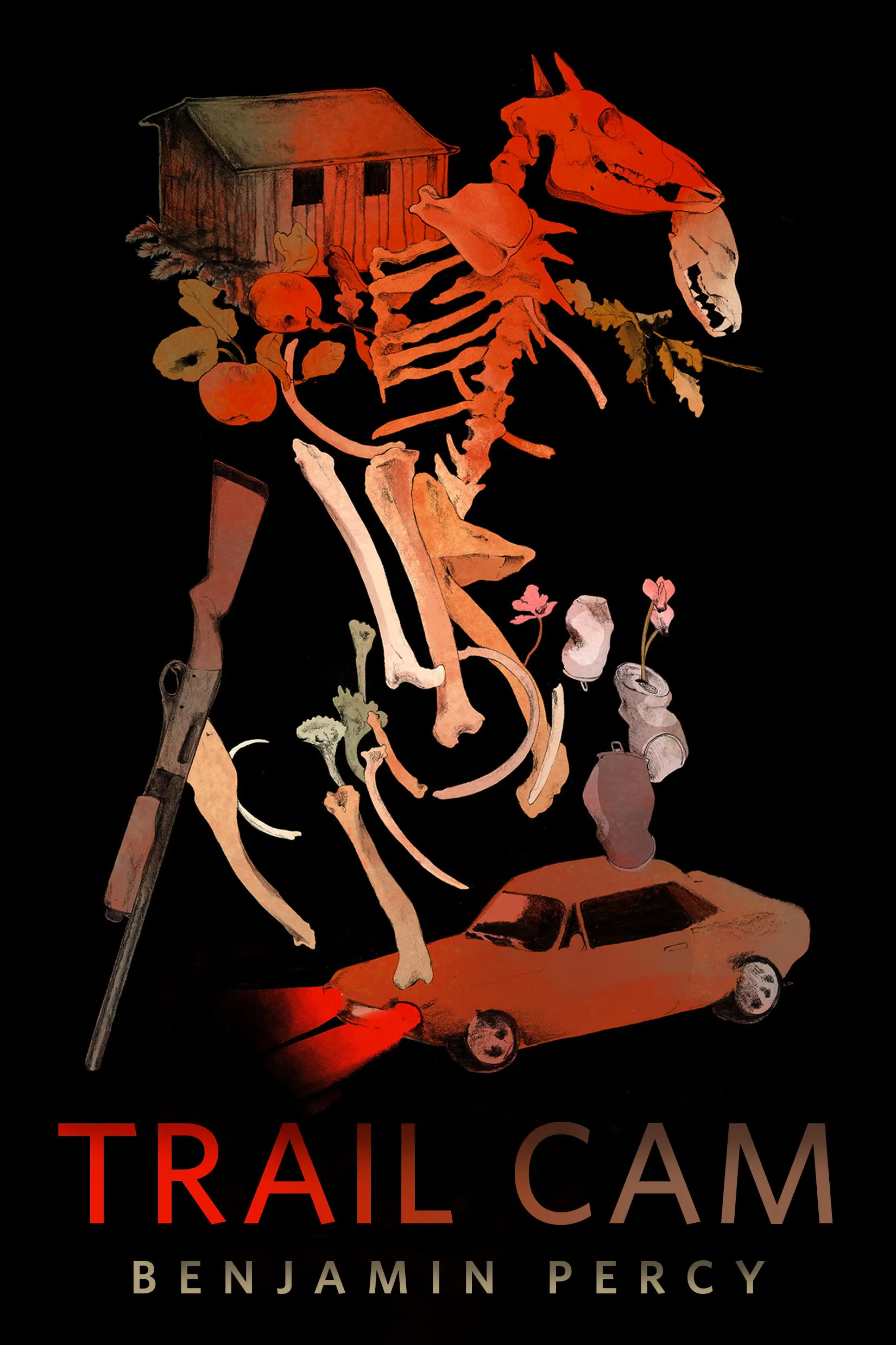 Cover for the book titled as: Trail Cam