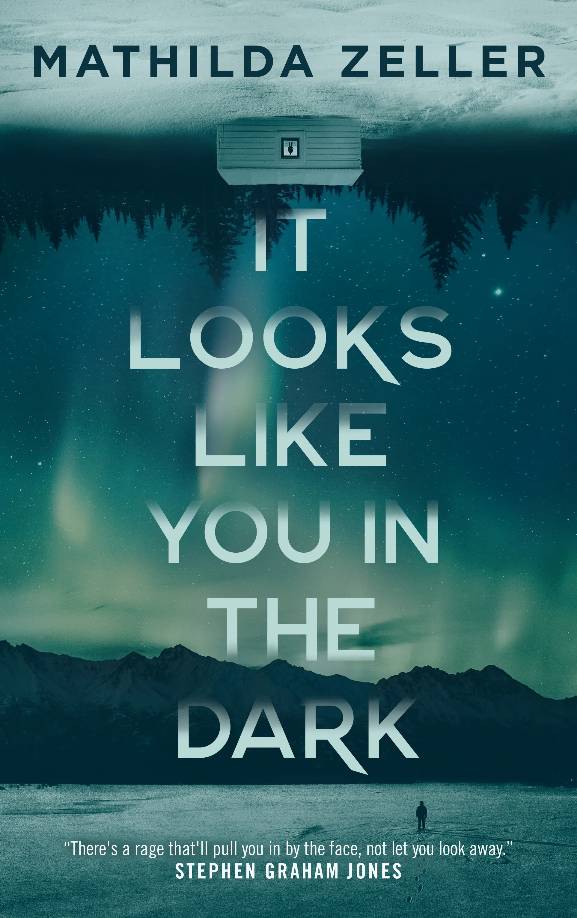 Cover for the book titled as: It Looks Like You in the Dark