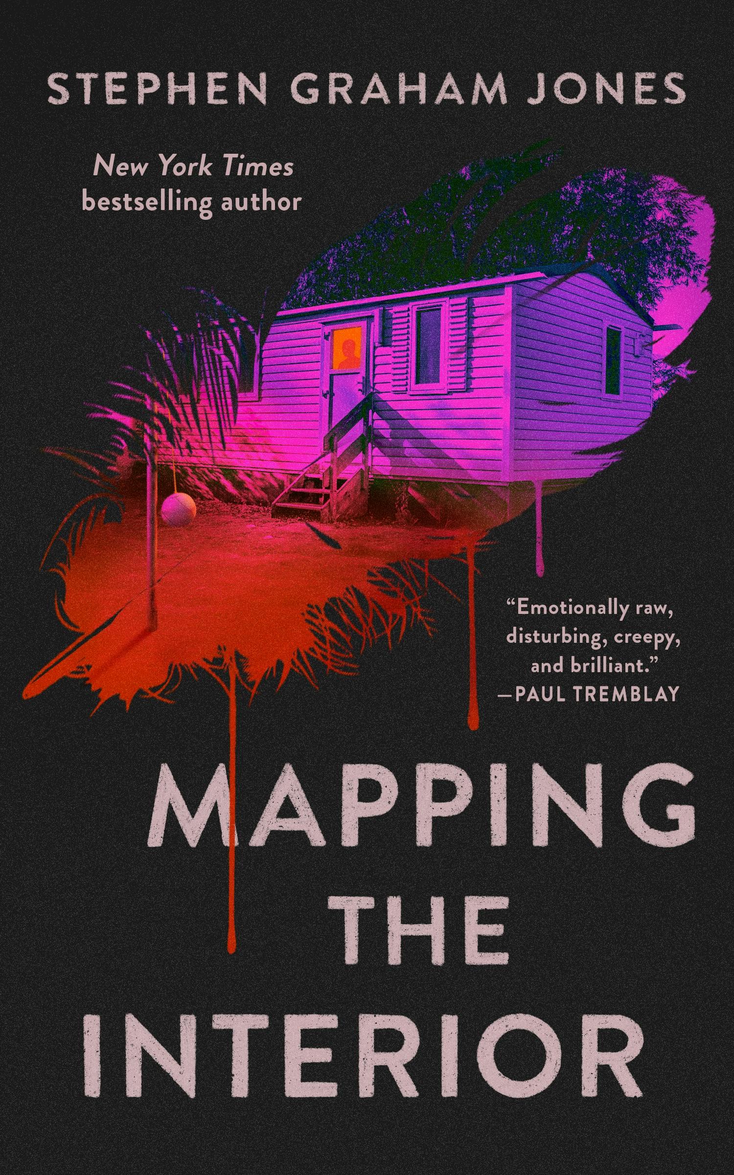 Cover for the book titled as: Mapping the Interior